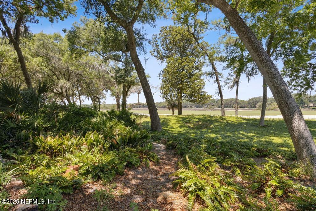 22 BELTED KINGFISHER Road