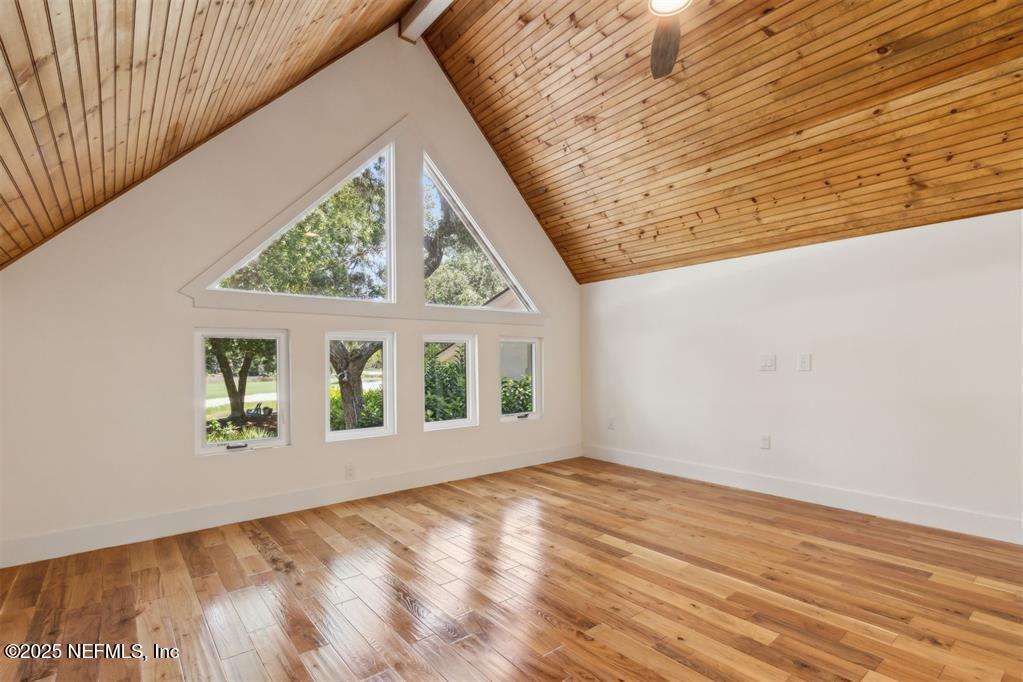 22 BELTED KINGFISHER Road