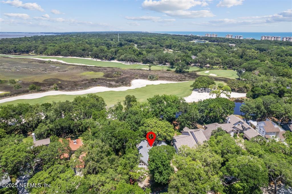 22 BELTED KINGFISHER Road