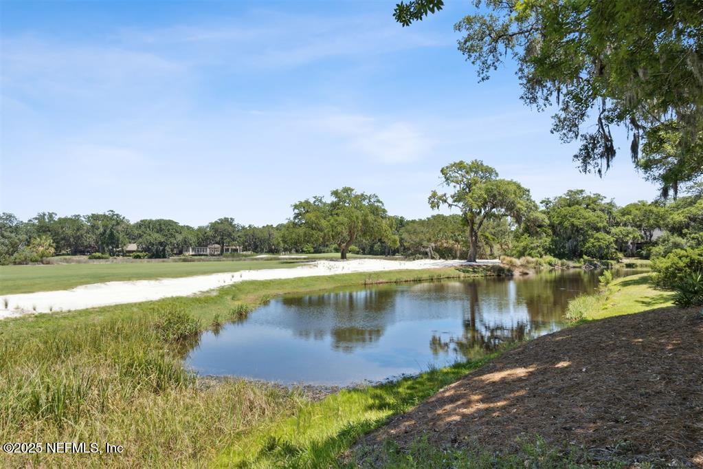 22 BELTED KINGFISHER Road