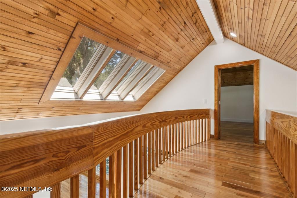 22 BELTED KINGFISHER Road