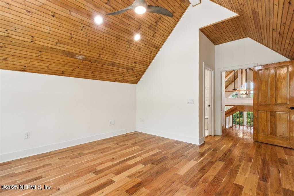 22 BELTED KINGFISHER Road