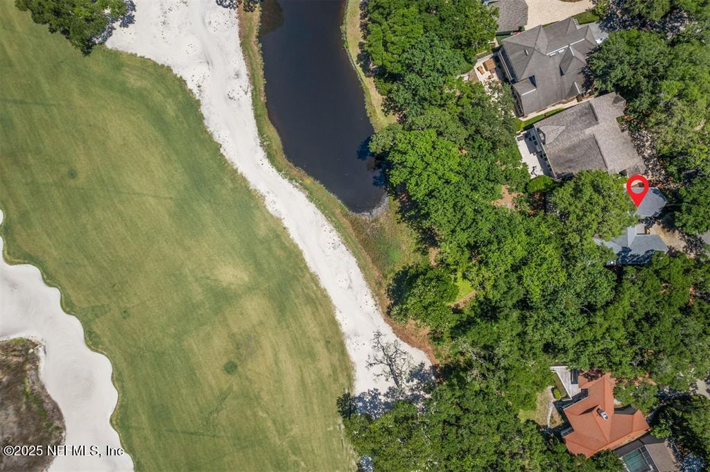 22 BELTED KINGFISHER Road