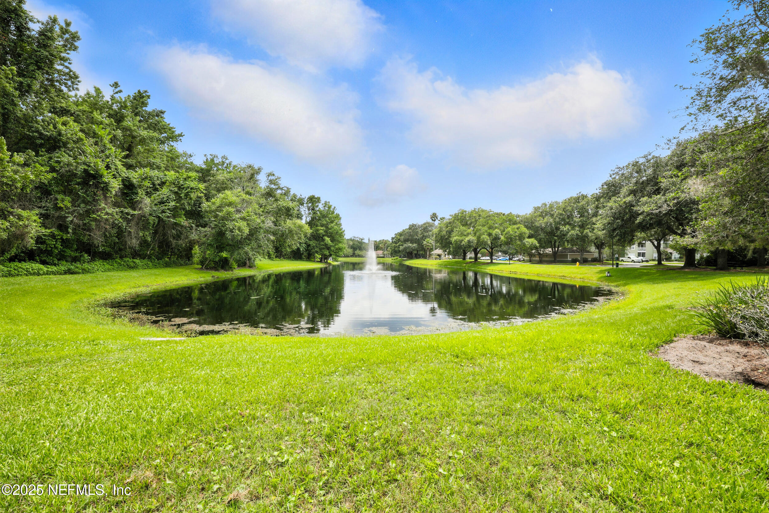 7701 TIMBERLIN PARK Boulevard, 817