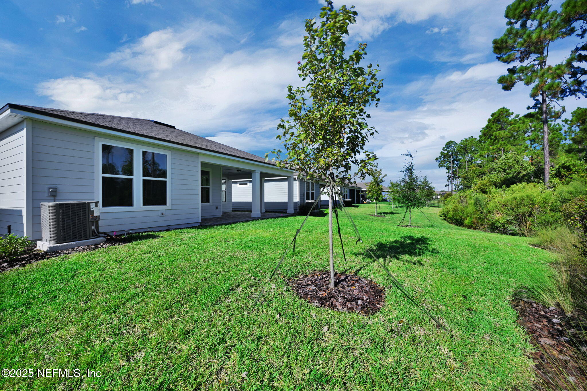 271 CURVED BAY Trail