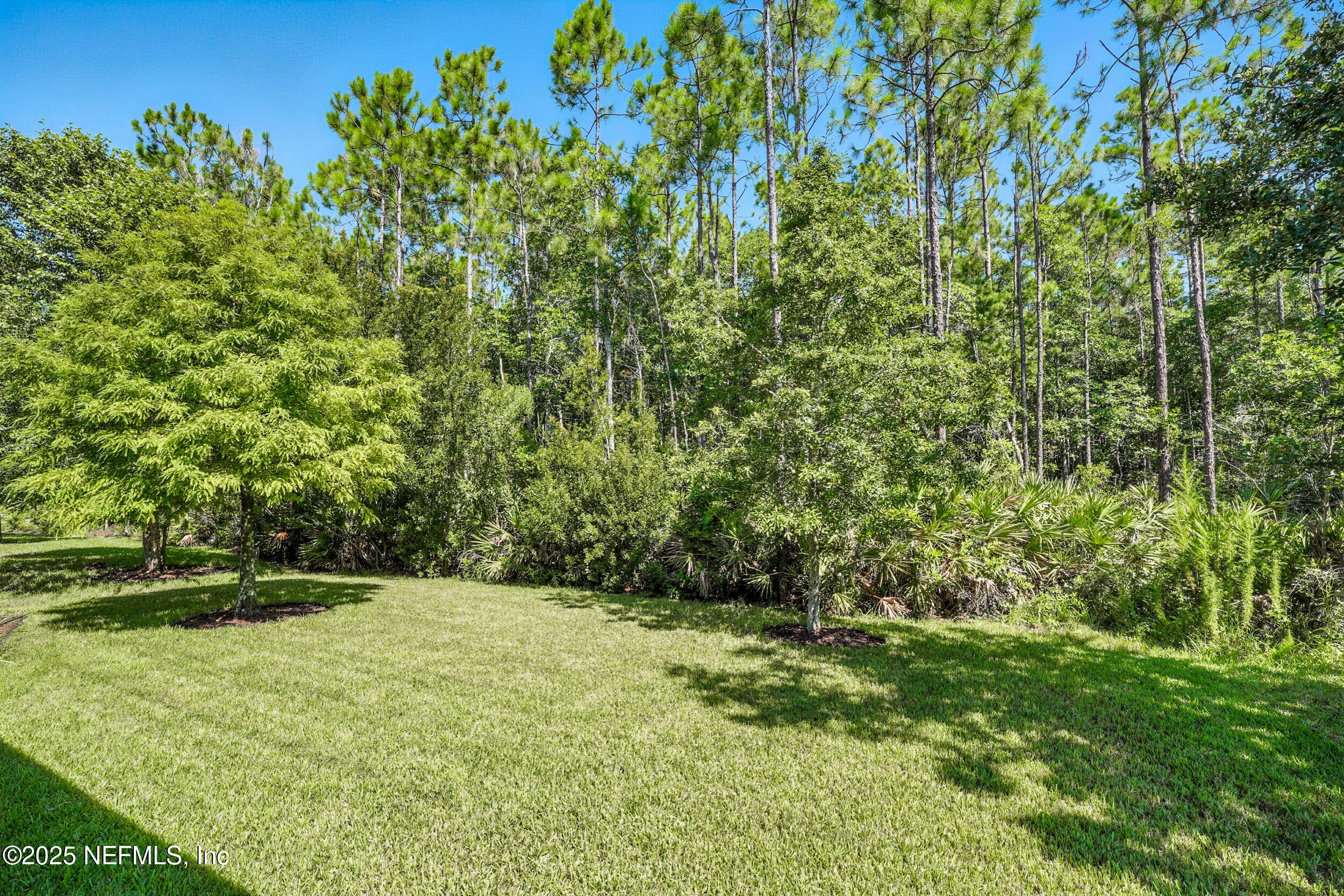 300 SHADOW RDG Trail