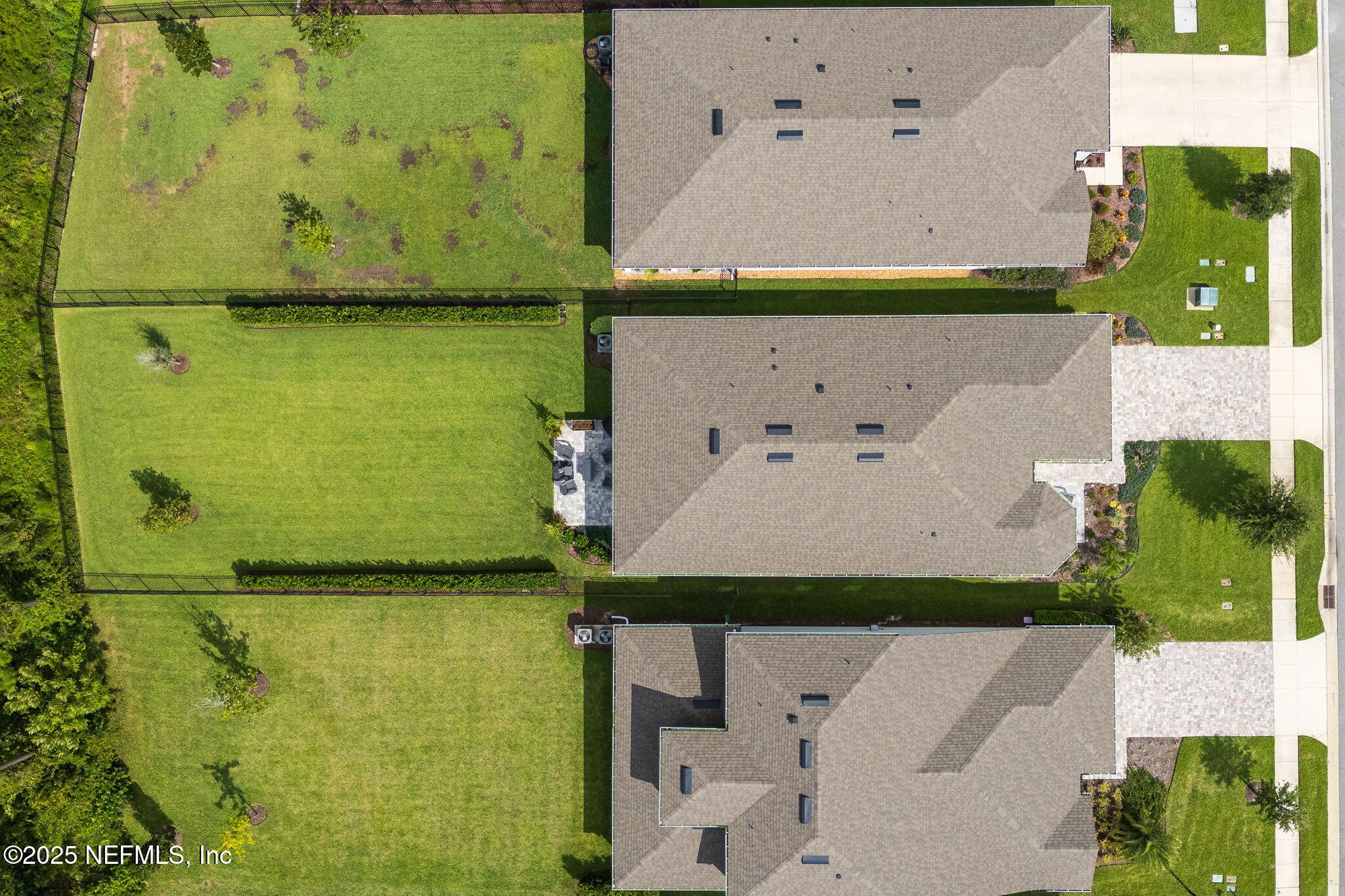 356 TIMBER LIGHT Trail