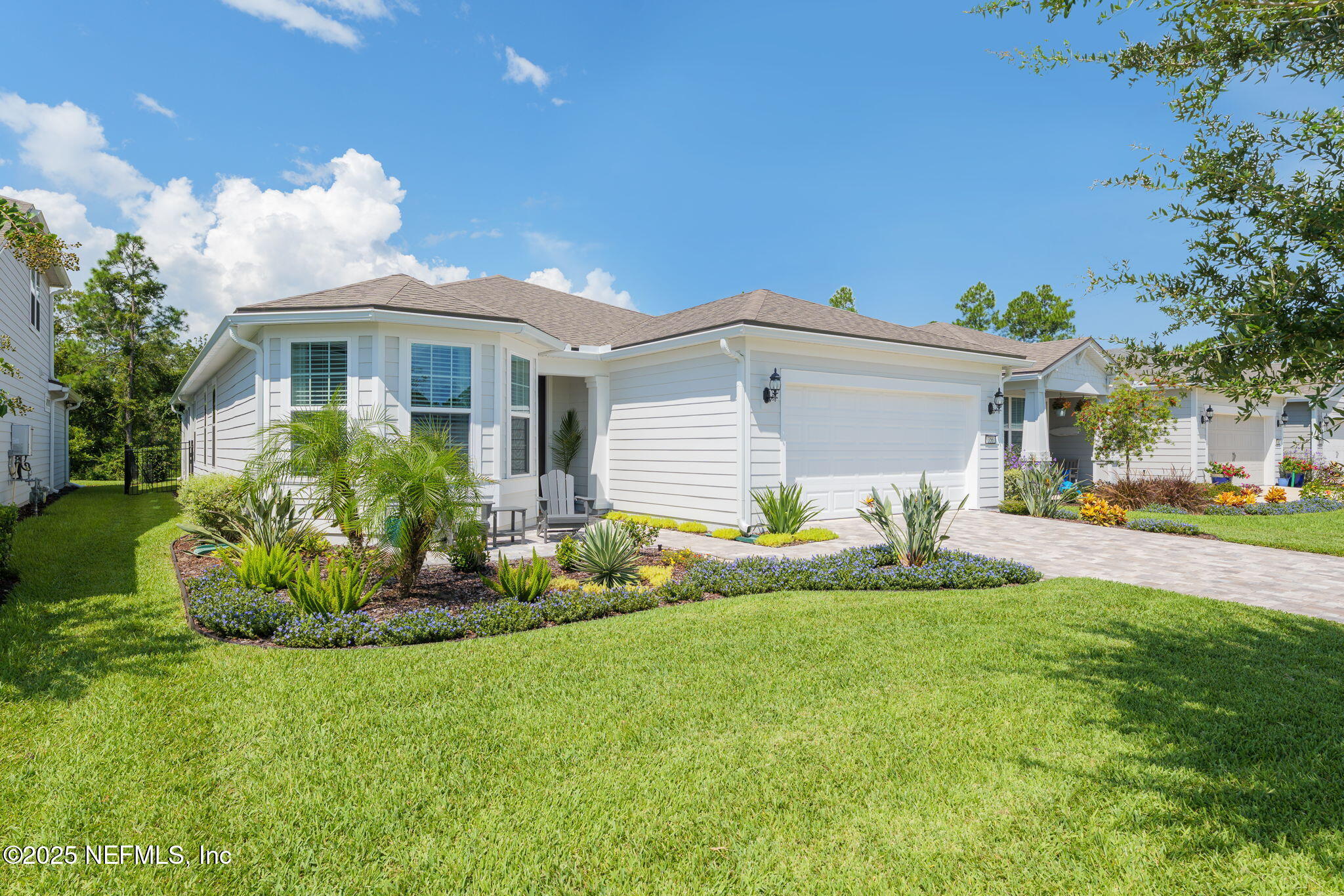 356 TIMBER LIGHT Trail