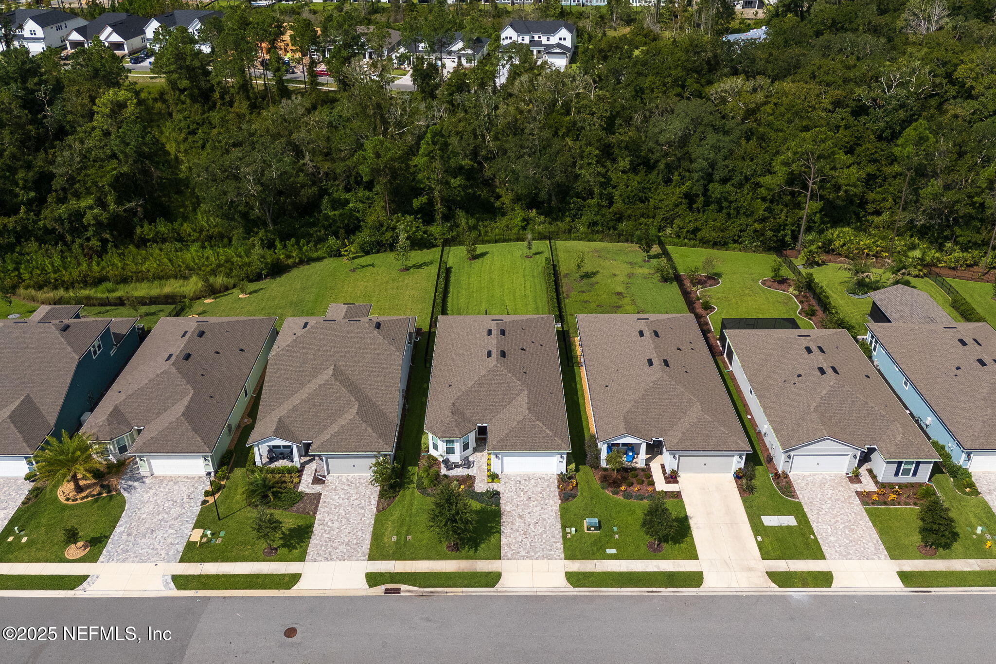 356 TIMBER LIGHT Trail