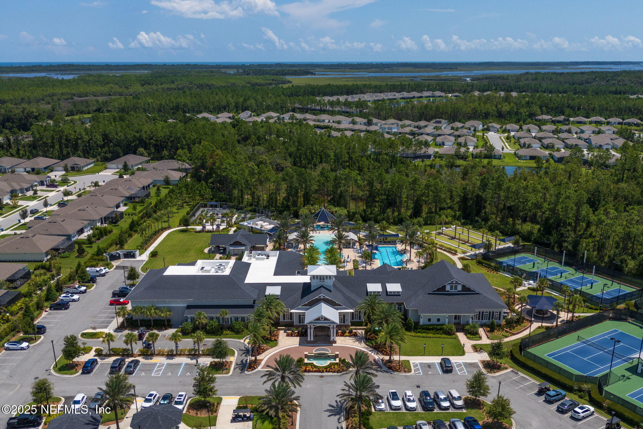 356 TIMBER LIGHT Trail