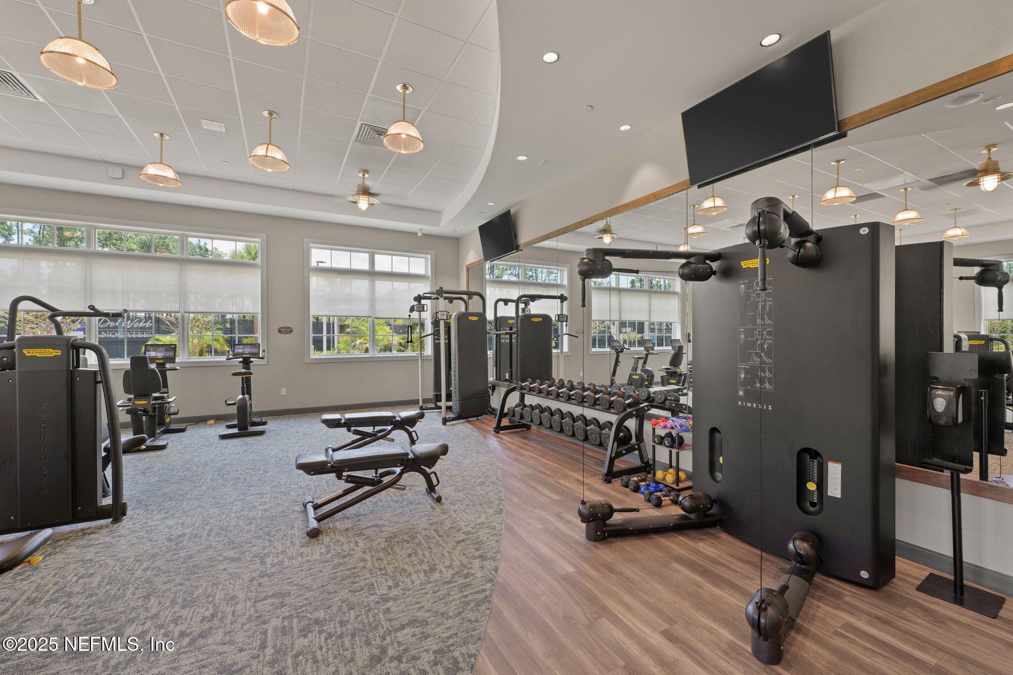 356 TIMBER LIGHT Trail