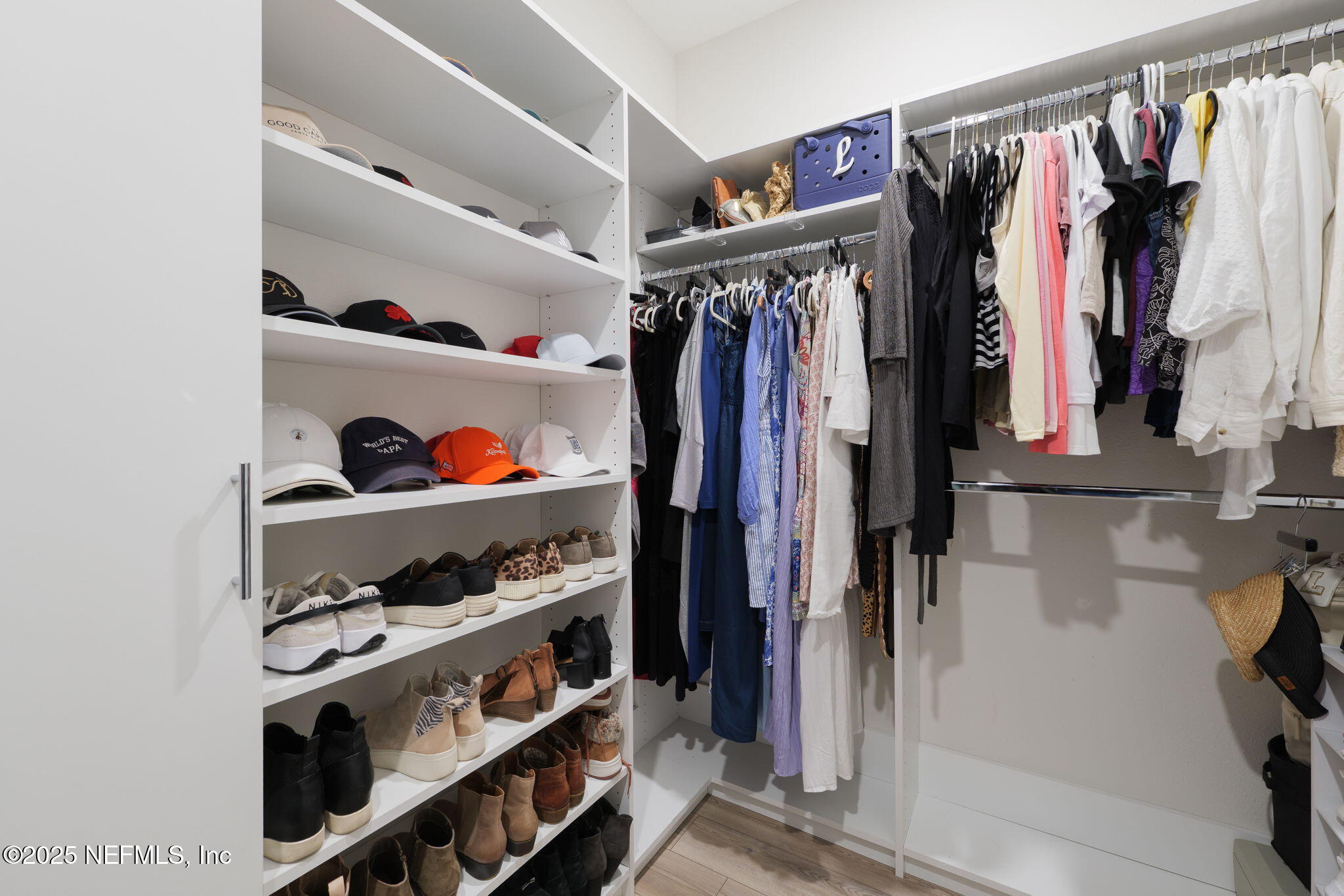 356 TIMBER LIGHT Trail