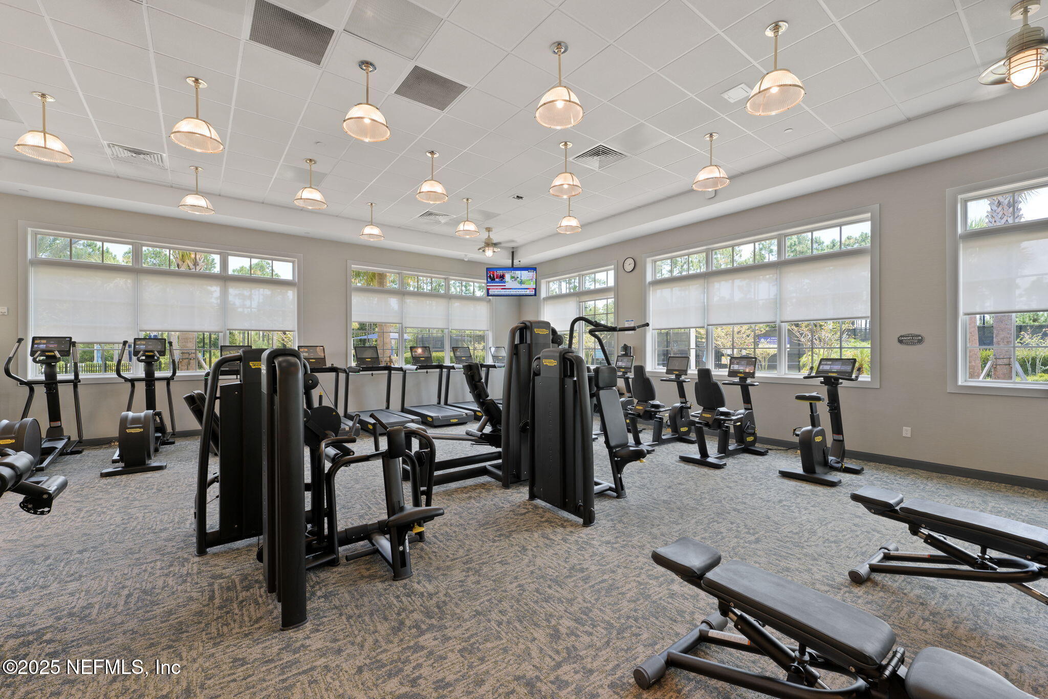 356 TIMBER LIGHT Trail