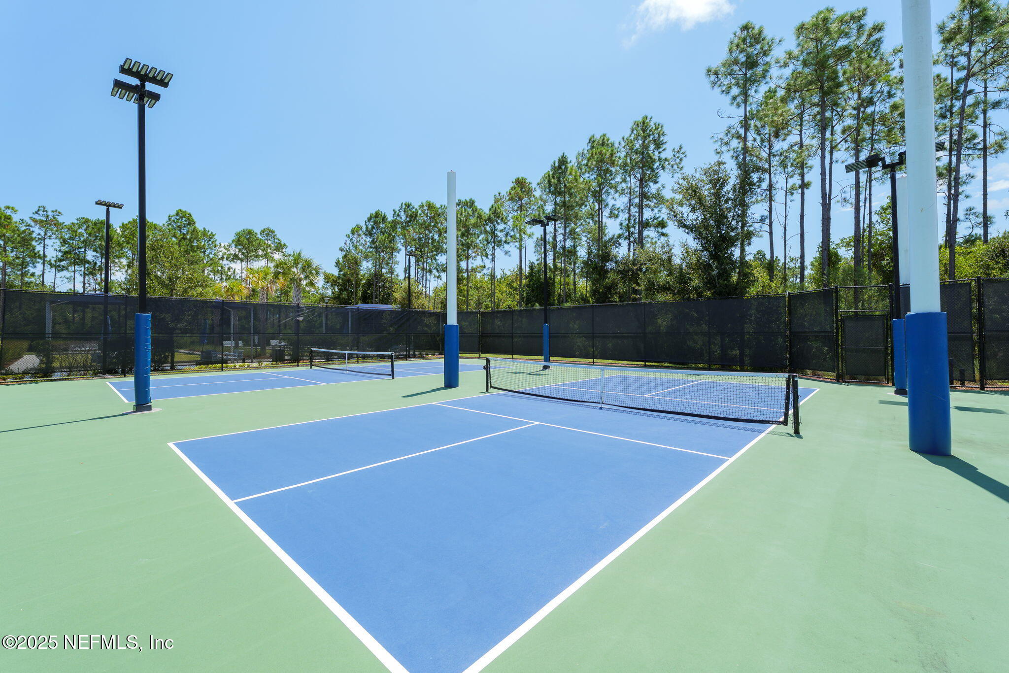 356 TIMBER LIGHT Trail