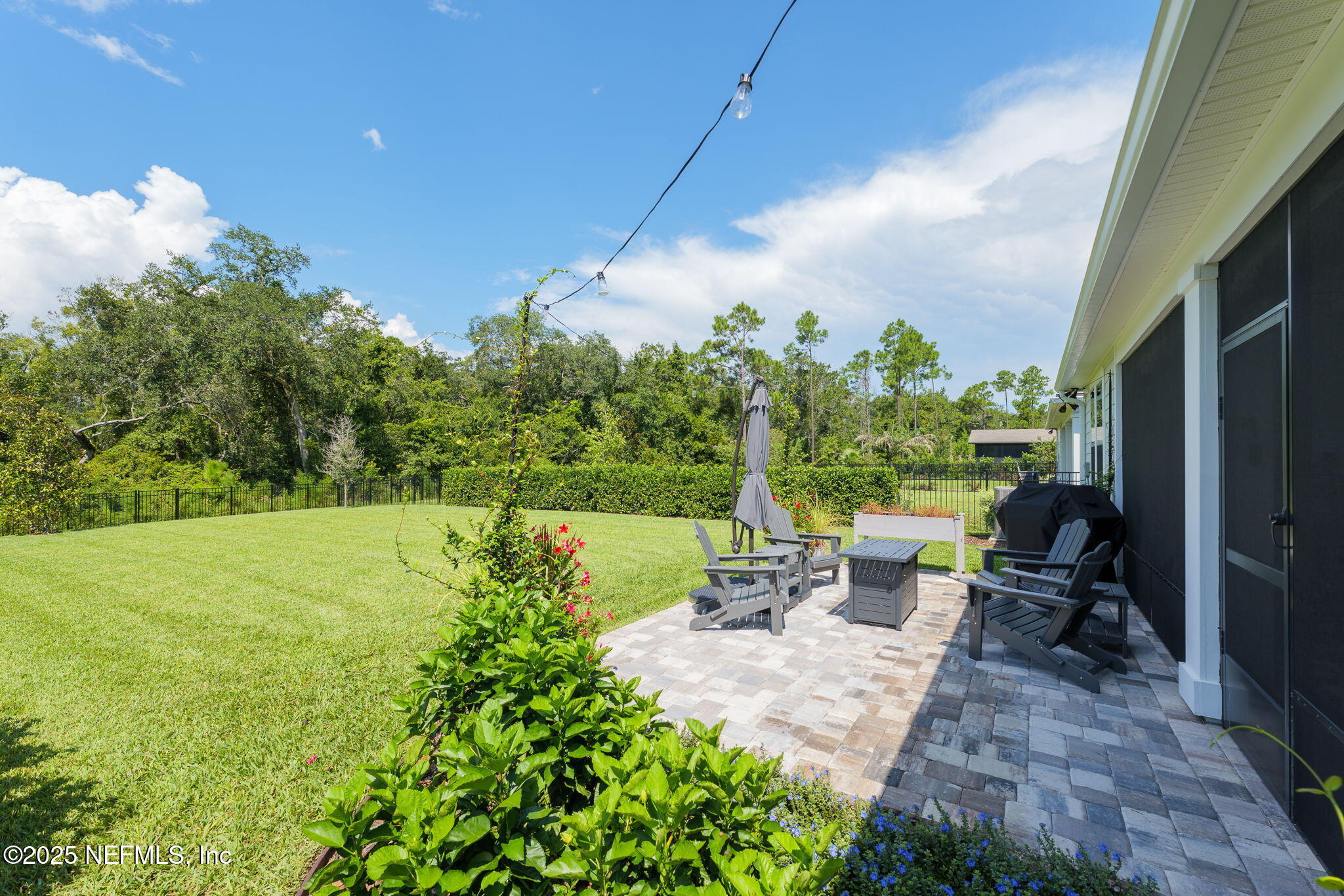 356 TIMBER LIGHT Trail