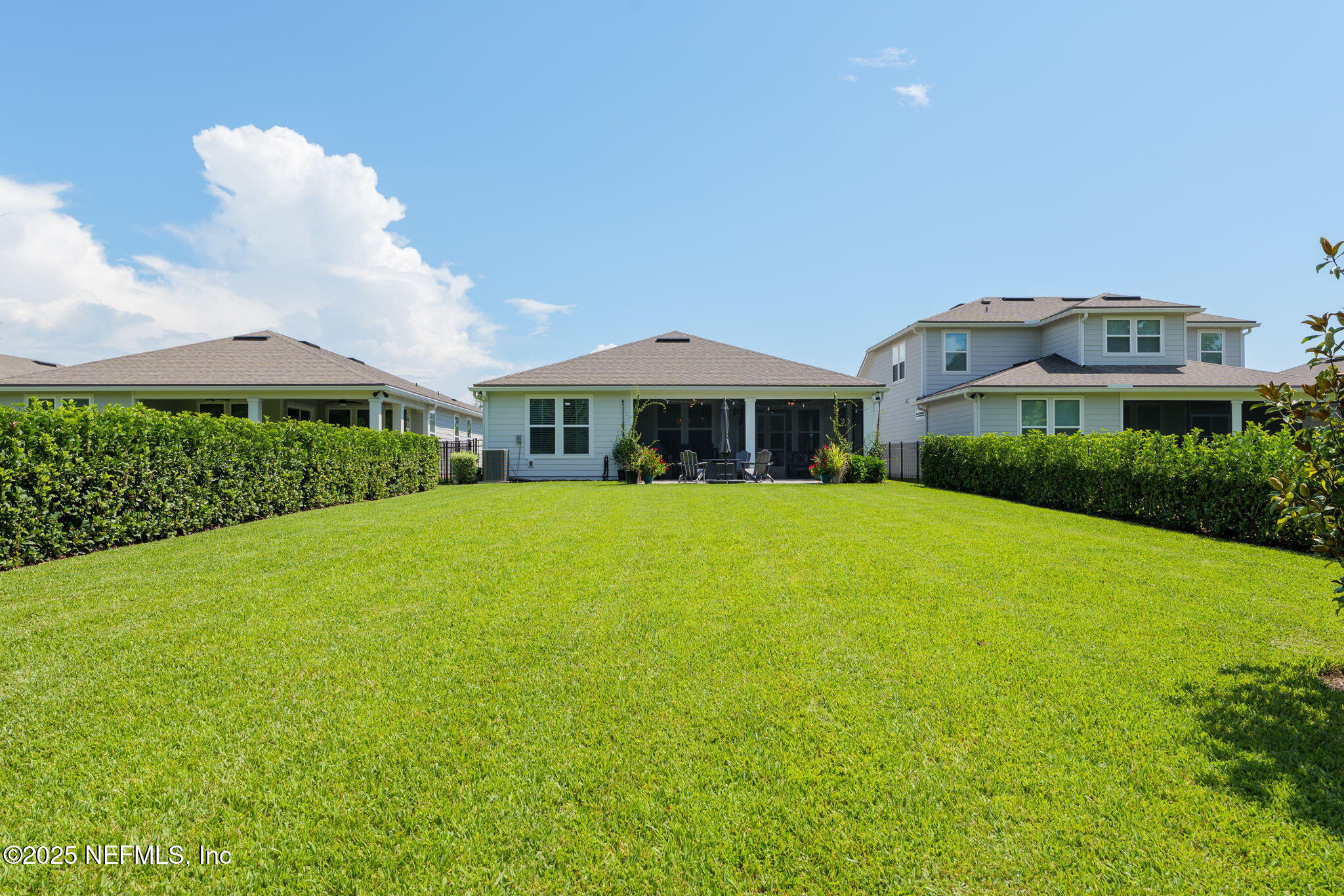 356 TIMBER LIGHT Trail