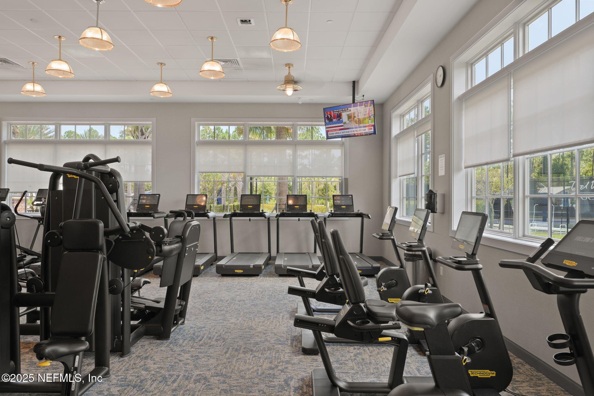 356 TIMBER LIGHT Trail