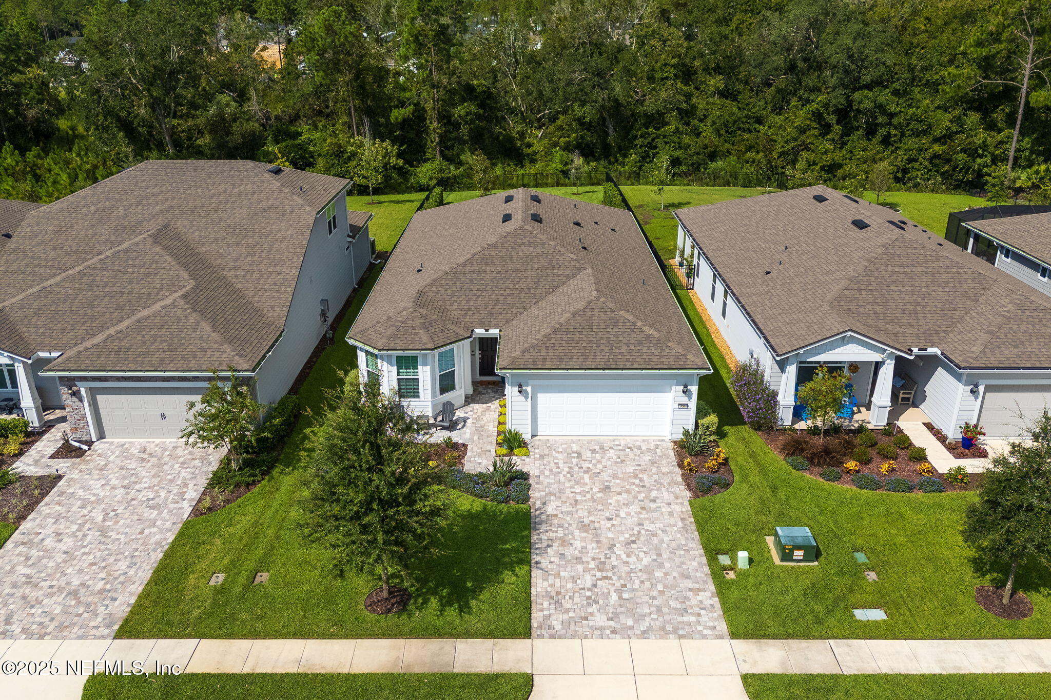 356 TIMBER LIGHT Trail