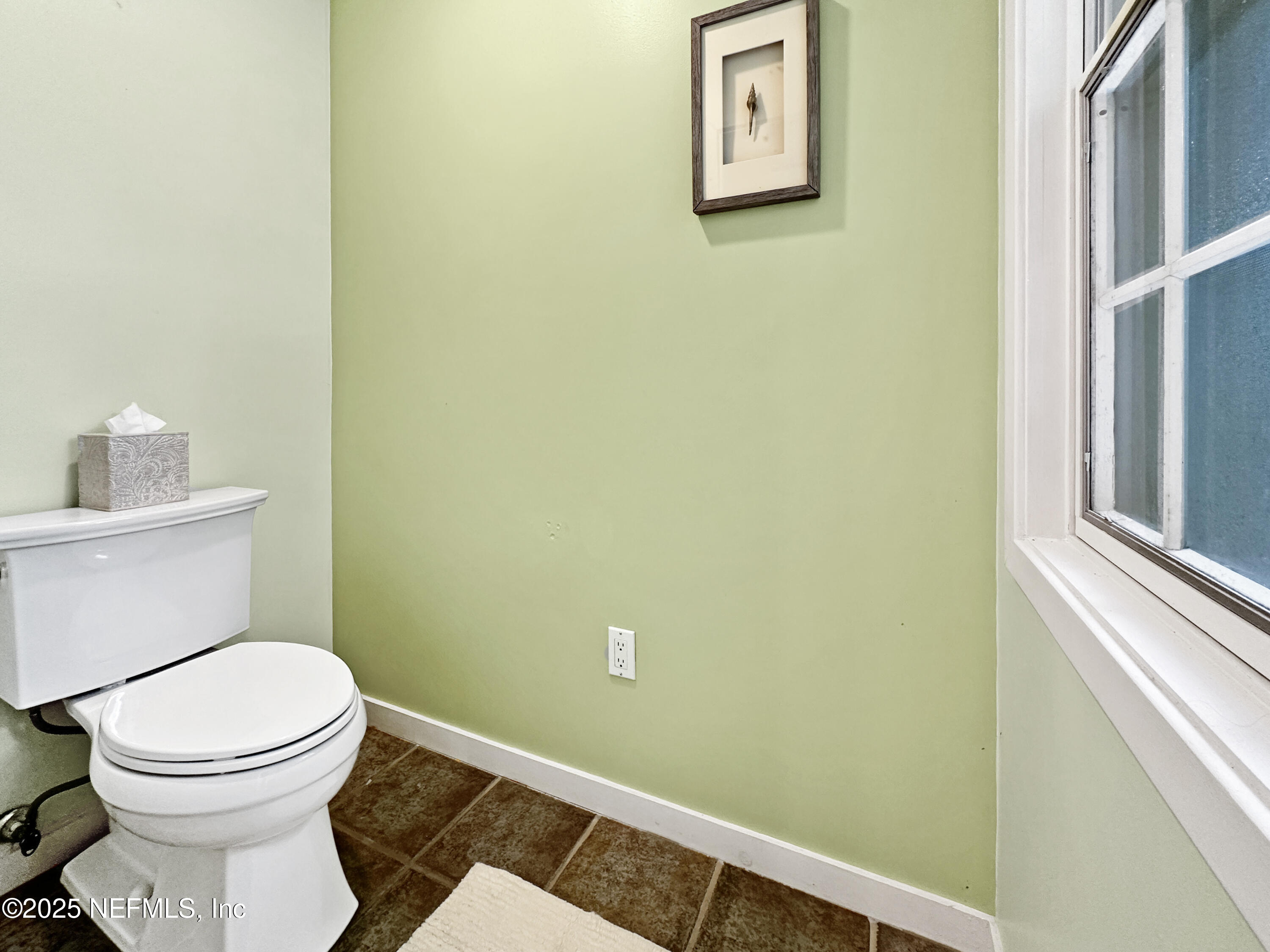 6 GREEN WINGED TEAL Road