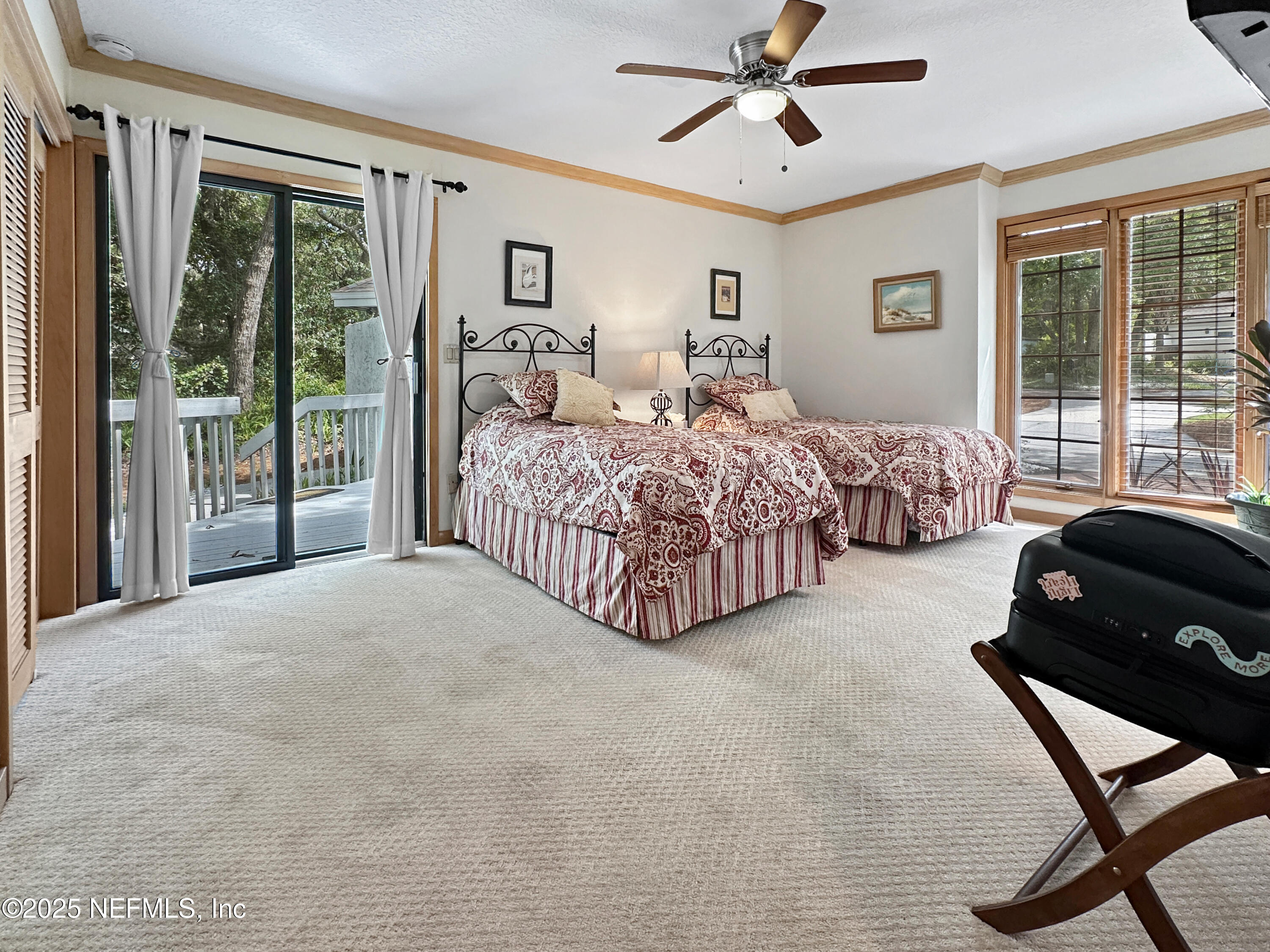 6 GREEN WINGED TEAL Road