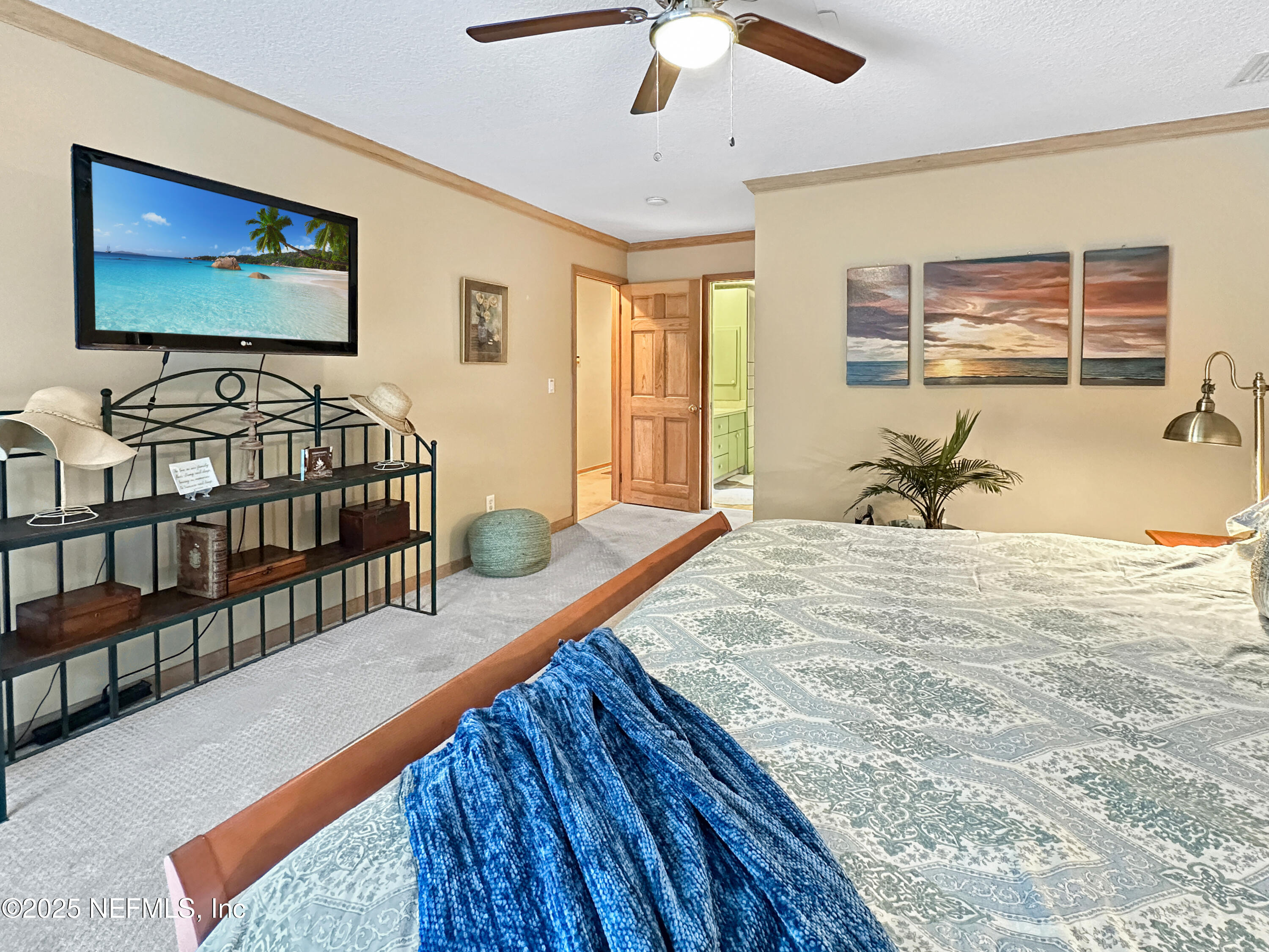 6 GREEN WINGED TEAL Road