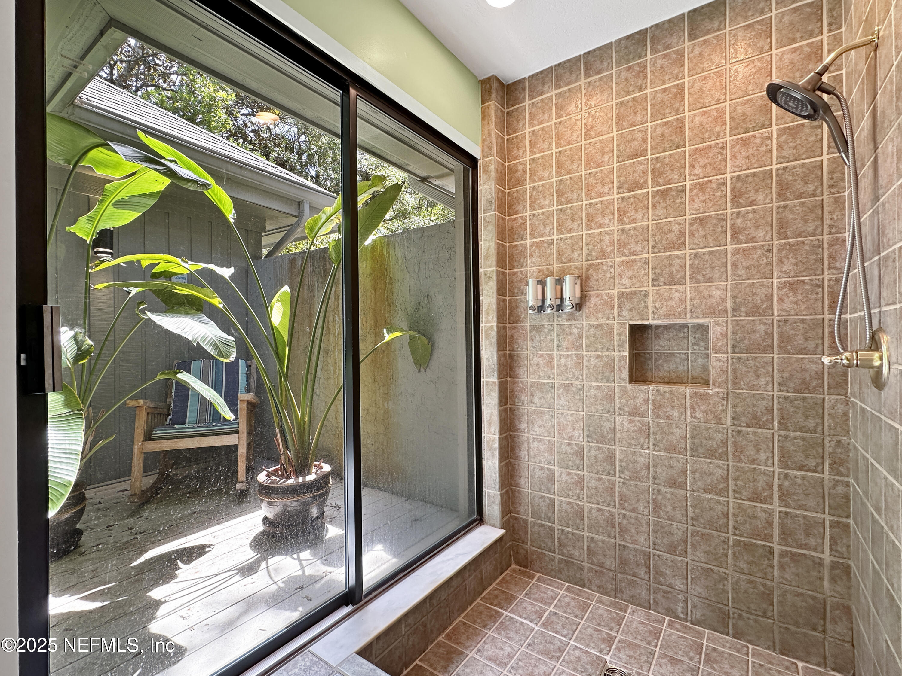 6 GREEN WINGED TEAL Road