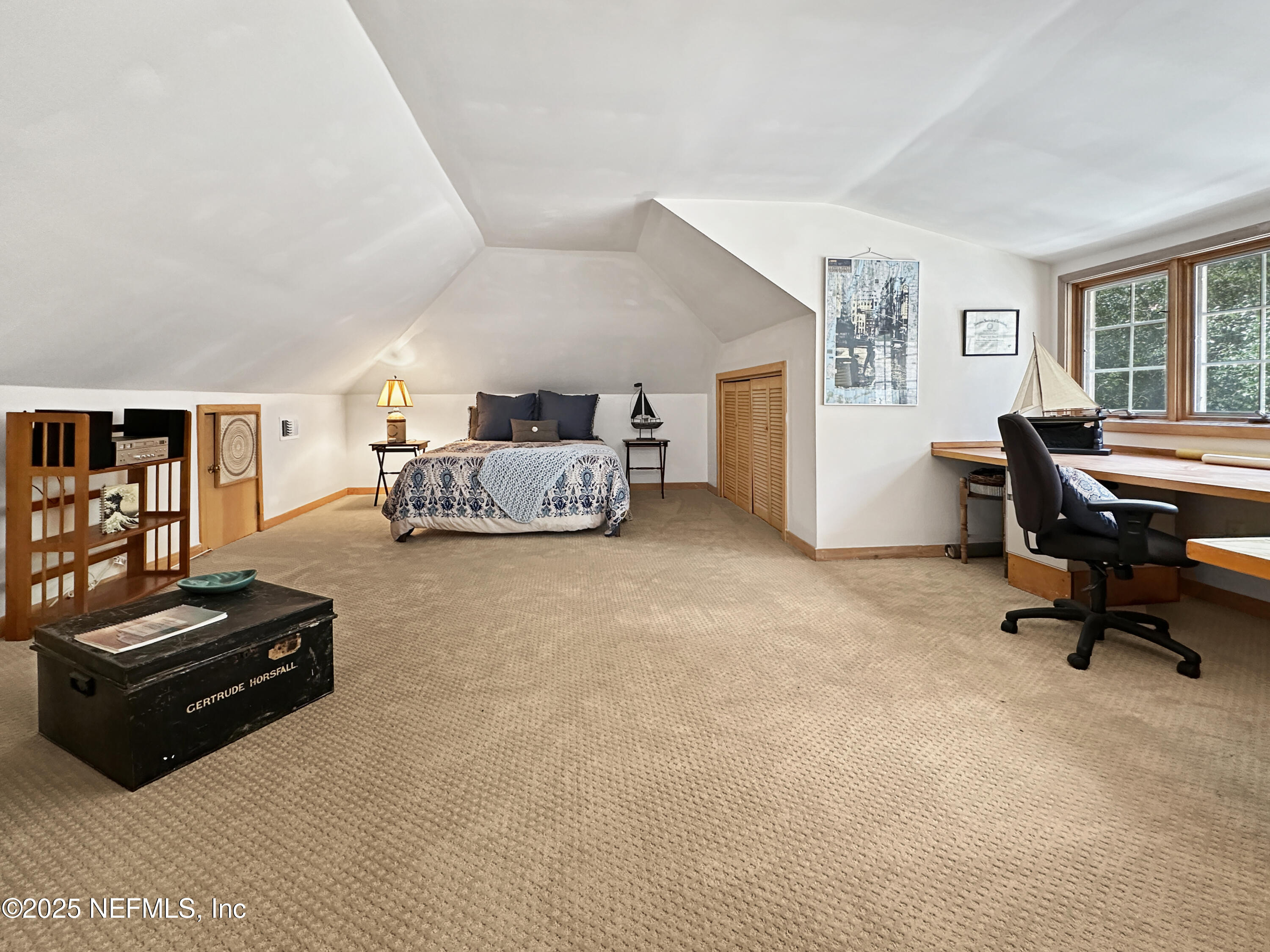 6 GREEN WINGED TEAL Road