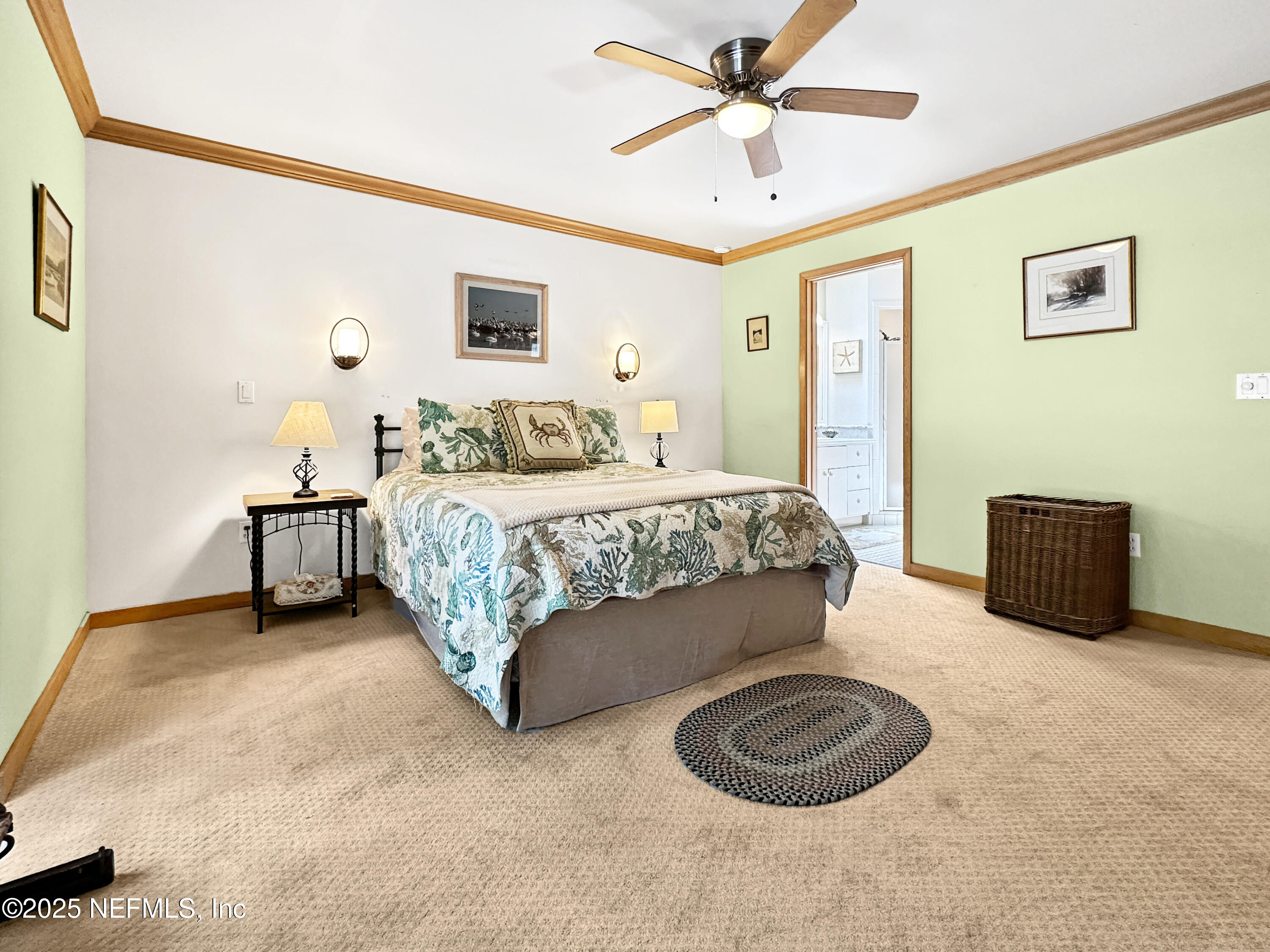 6 GREEN WINGED TEAL Road