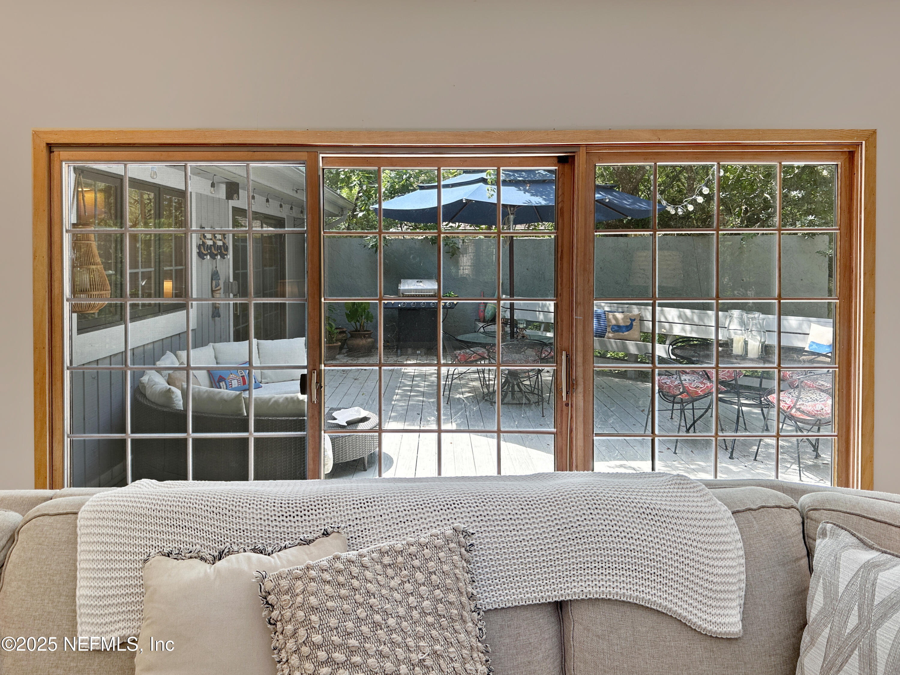 6 GREEN WINGED TEAL Road