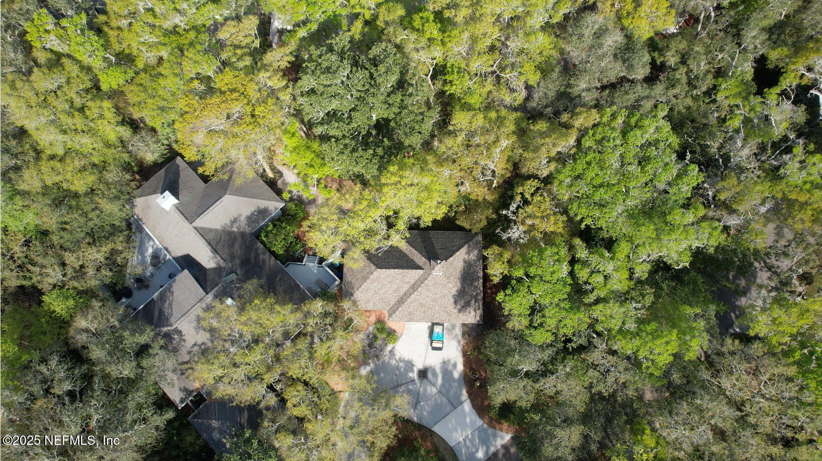 6 GREEN WINGED TEAL Road