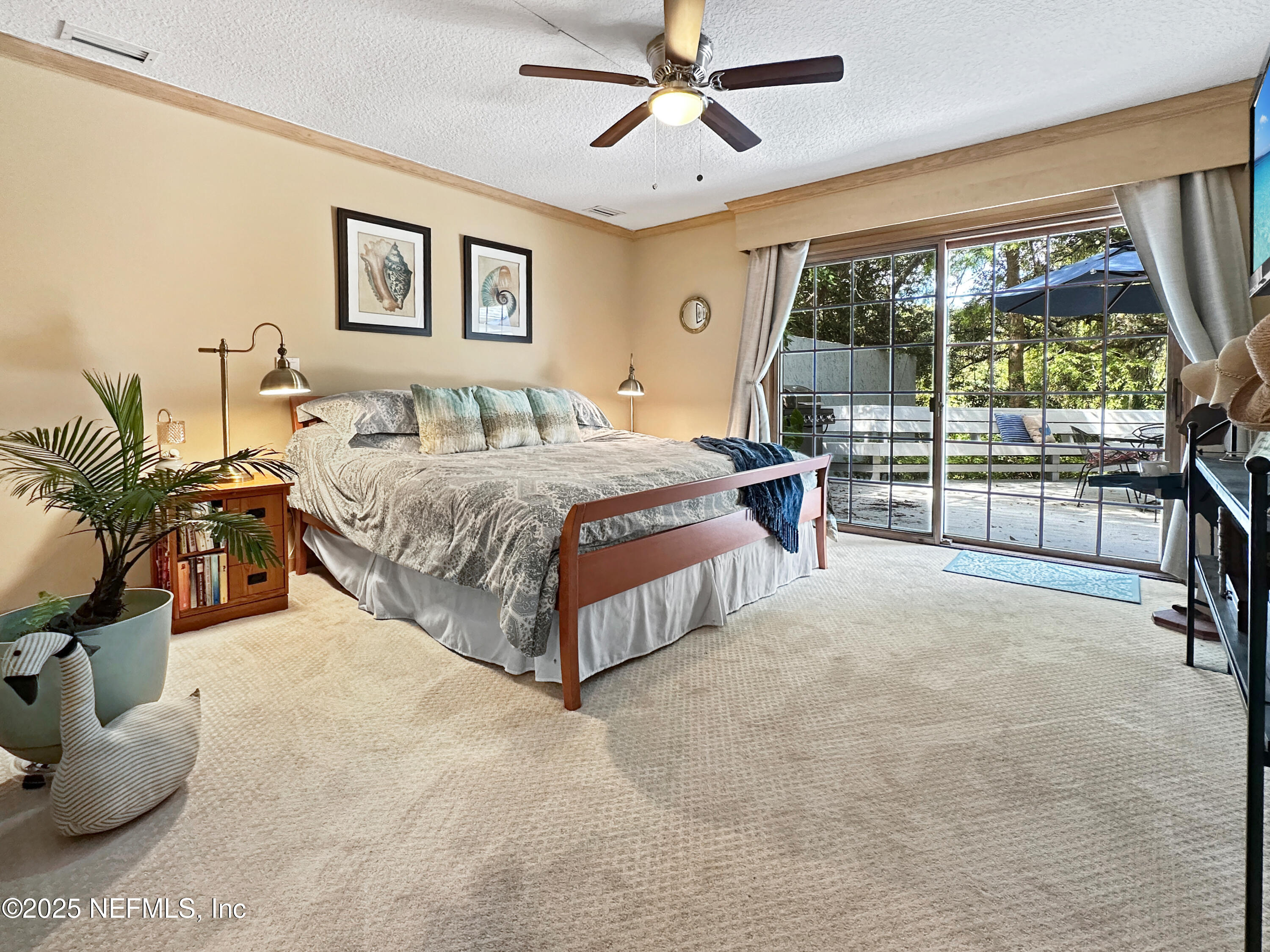 6 GREEN WINGED TEAL Road