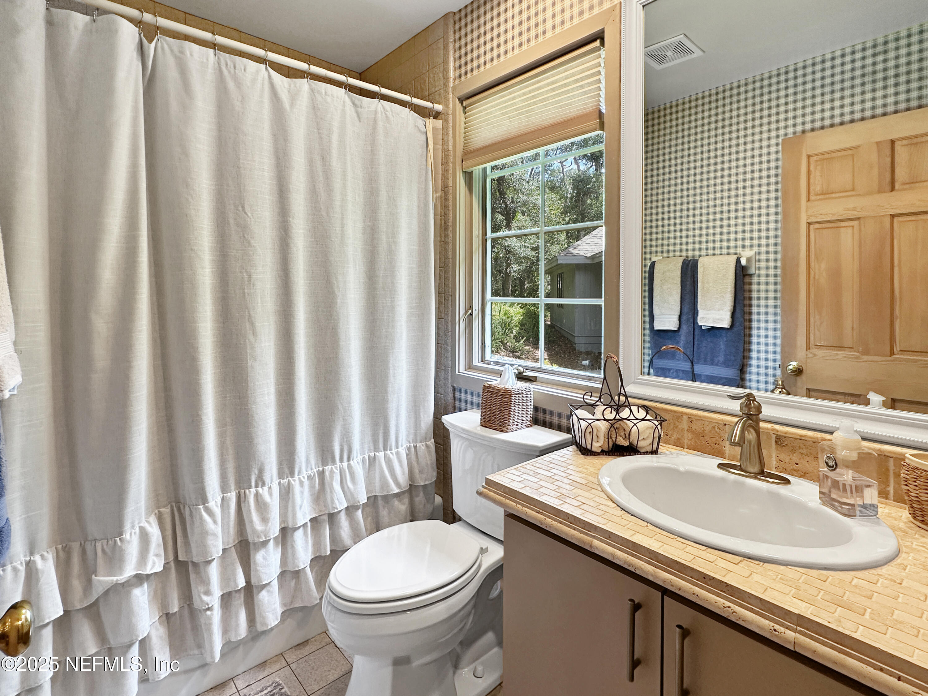 6 GREEN WINGED TEAL Road