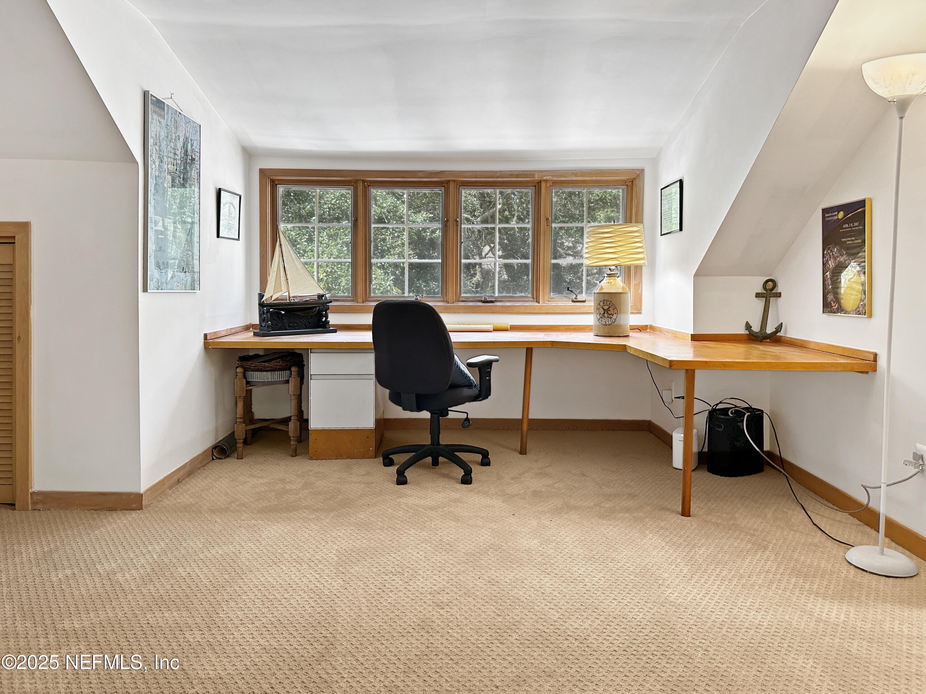 6 GREEN WINGED TEAL Road