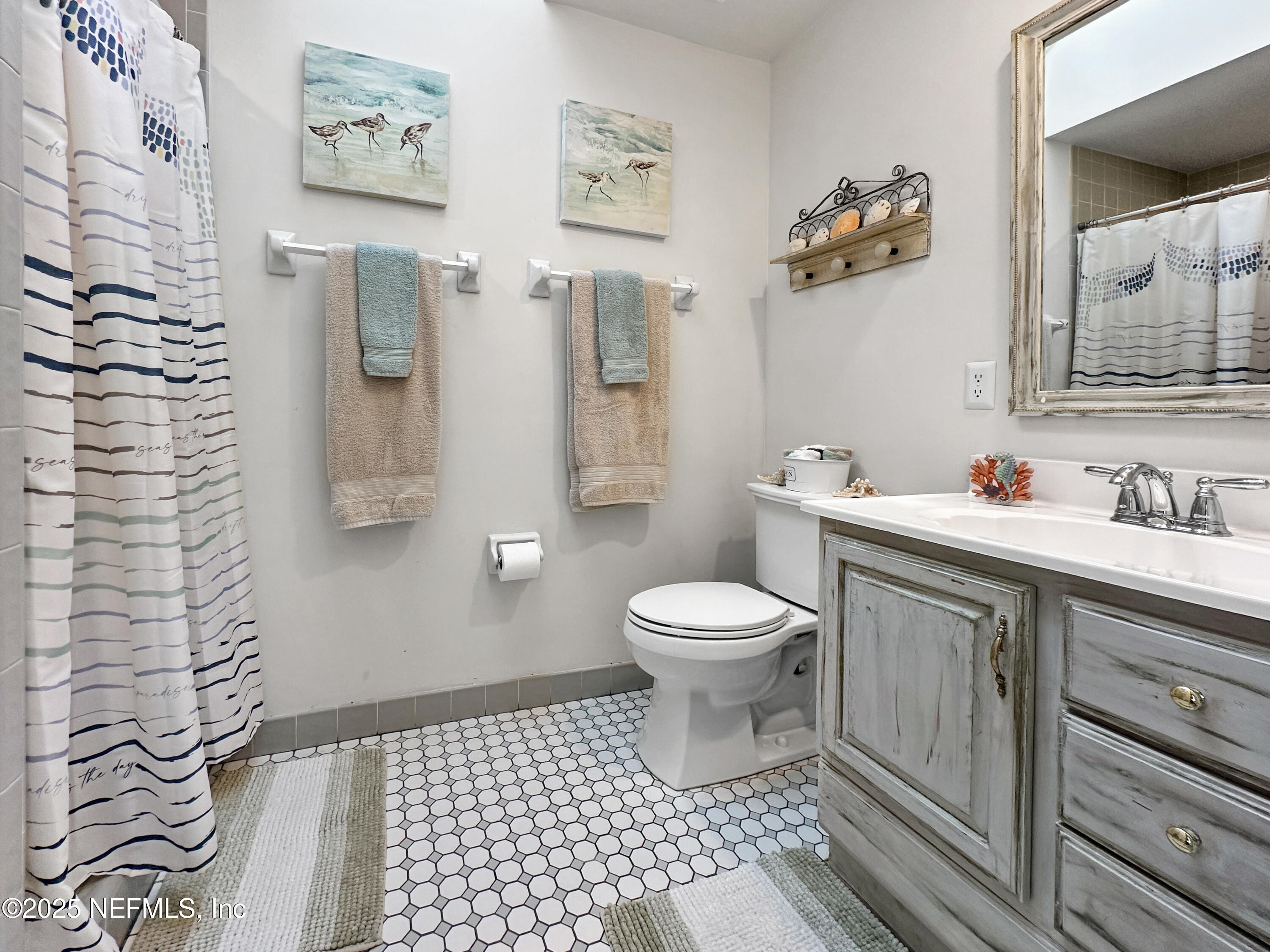 6 GREEN WINGED TEAL Road