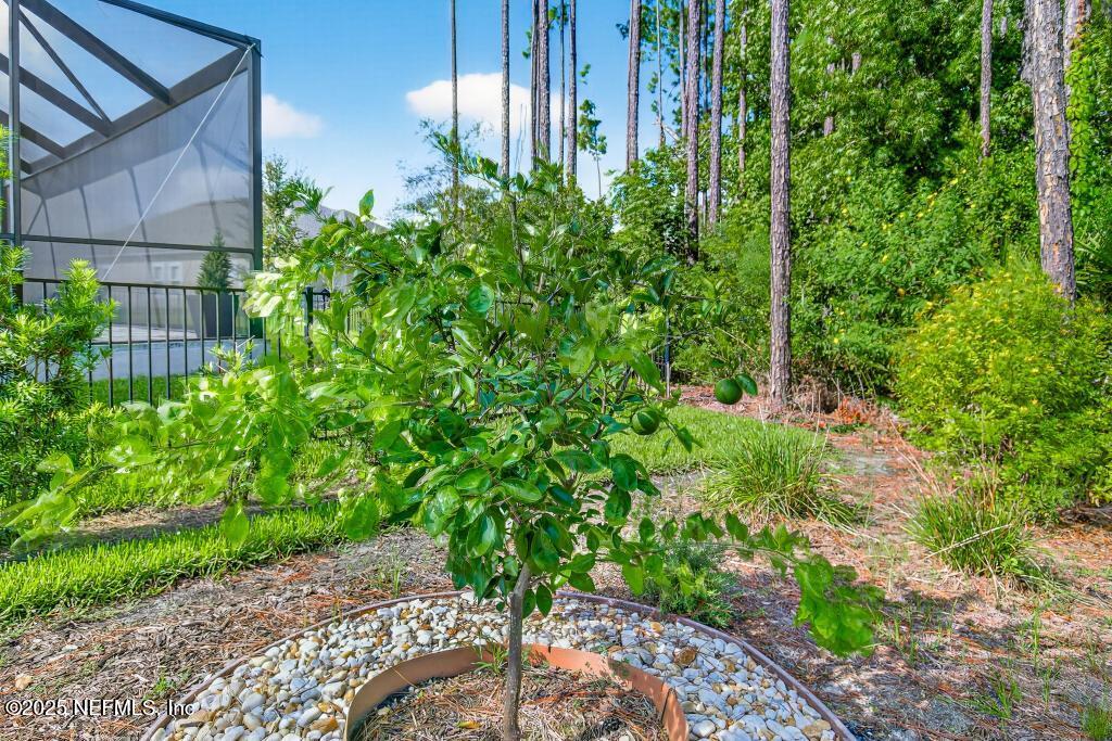 527 PINE HAVEN Drive, St. Johns