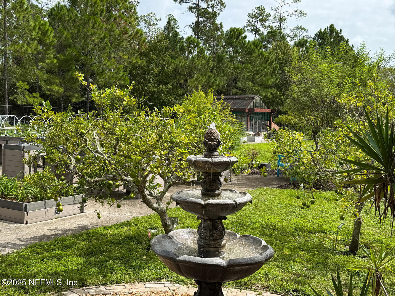 31 WILD BRANCH Court