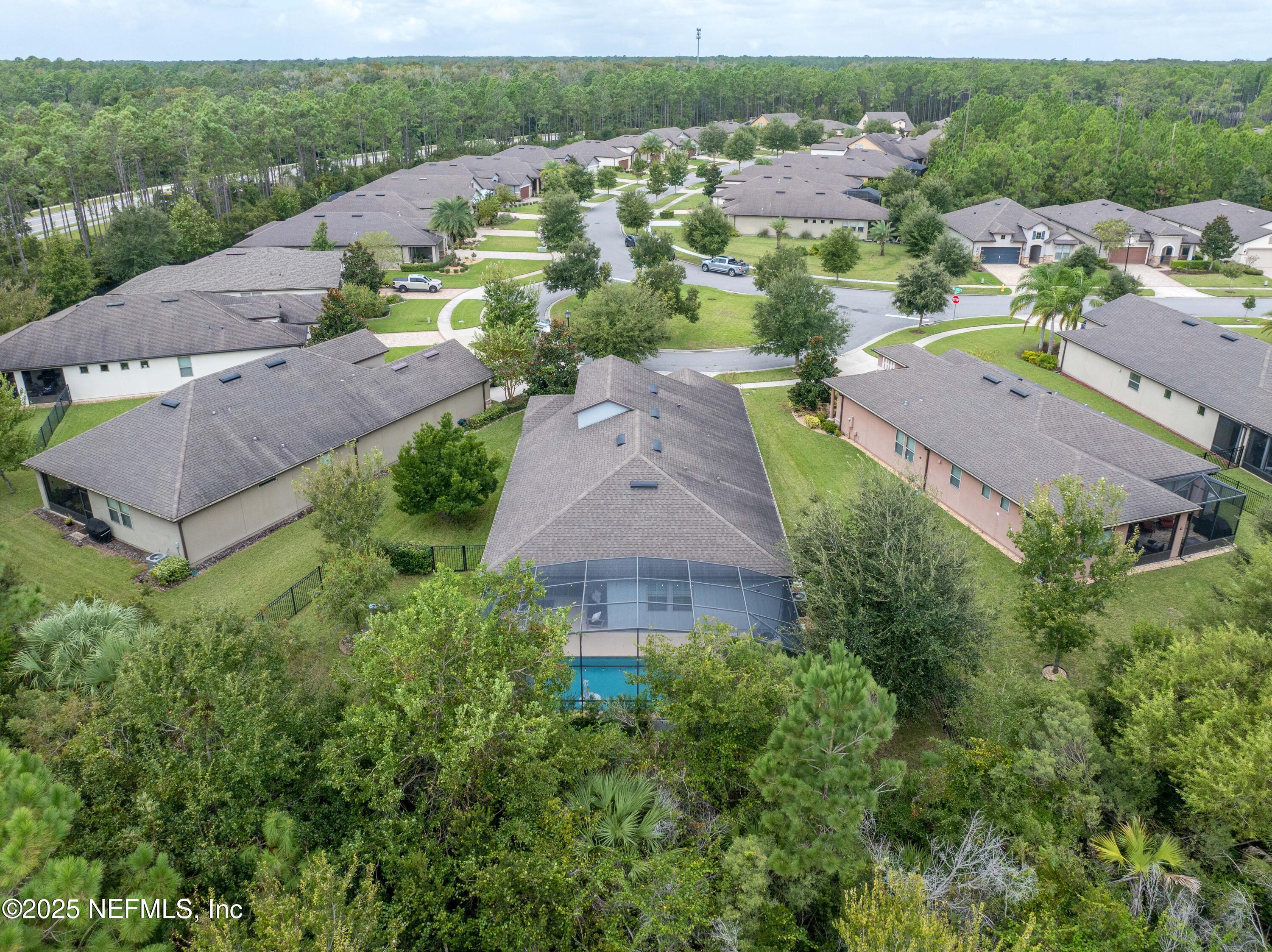 31 WILD BRANCH Court