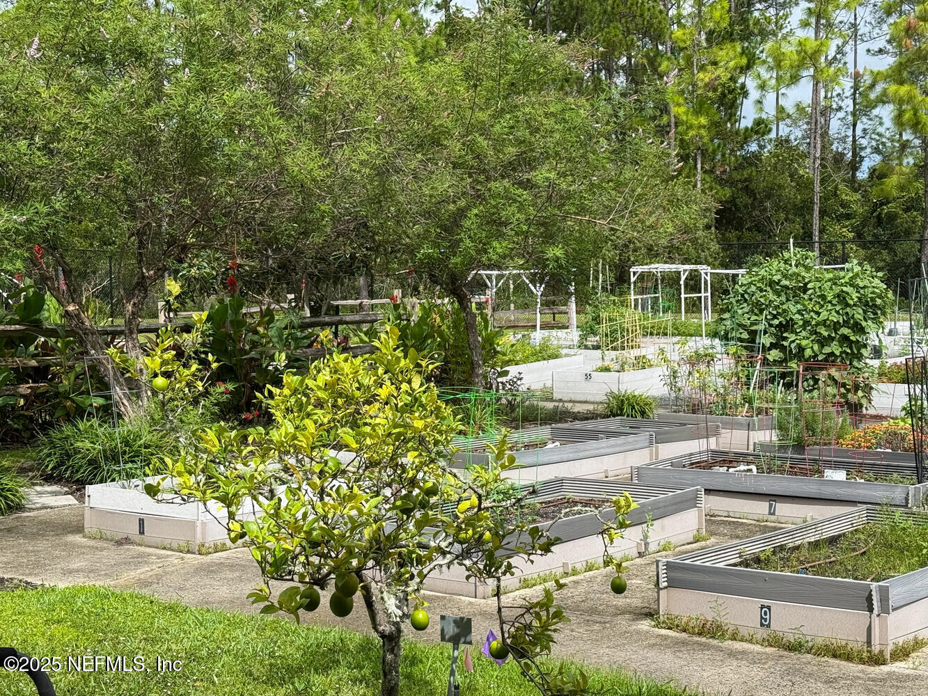 31 WILD BRANCH Court