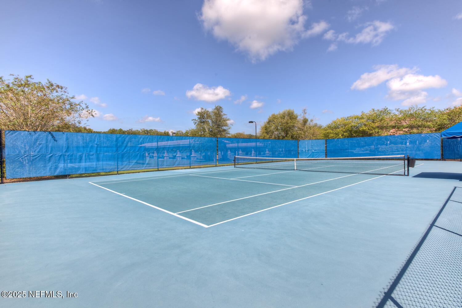 31 WILD BRANCH Court