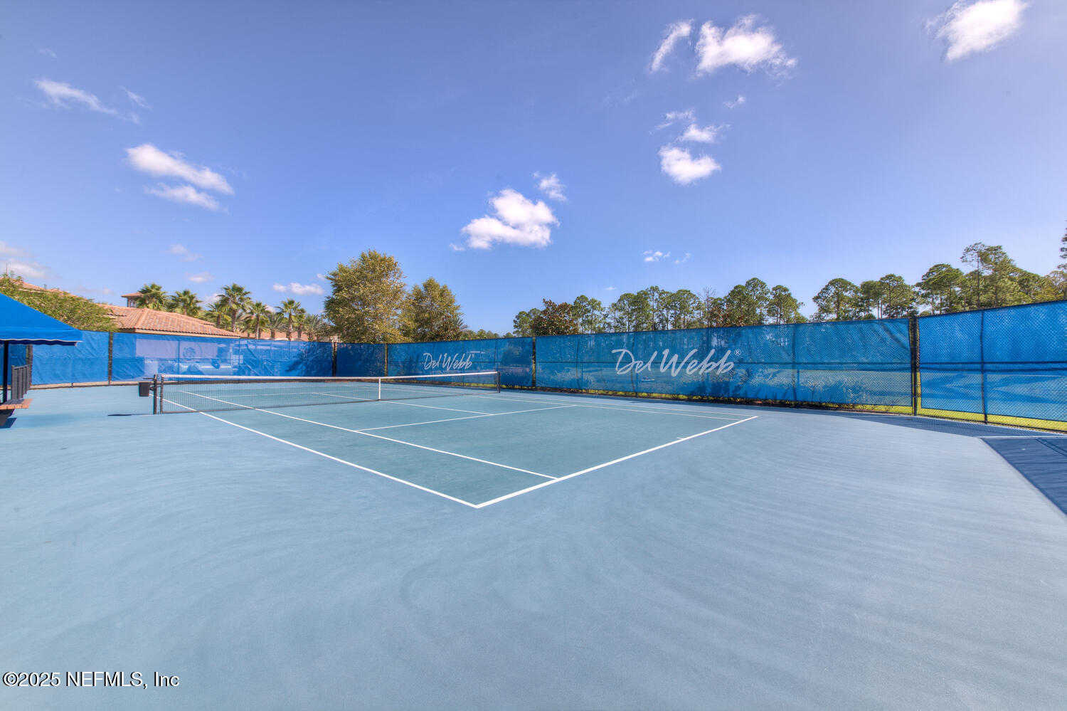 31 WILD BRANCH Court