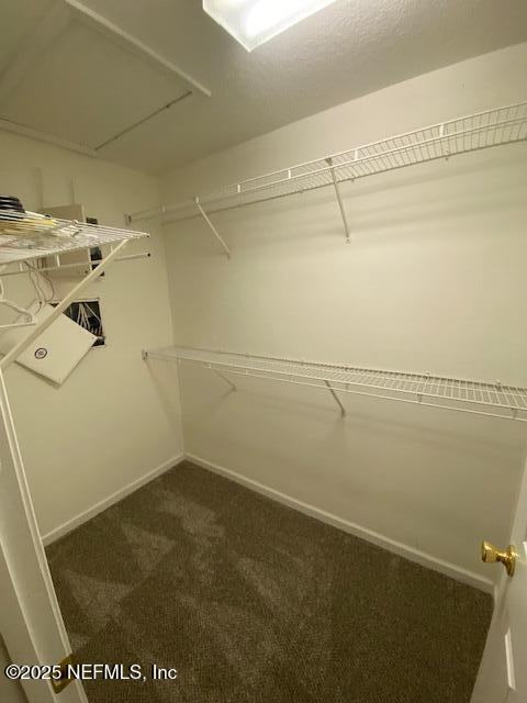 3173 HOLLOW TREE Court