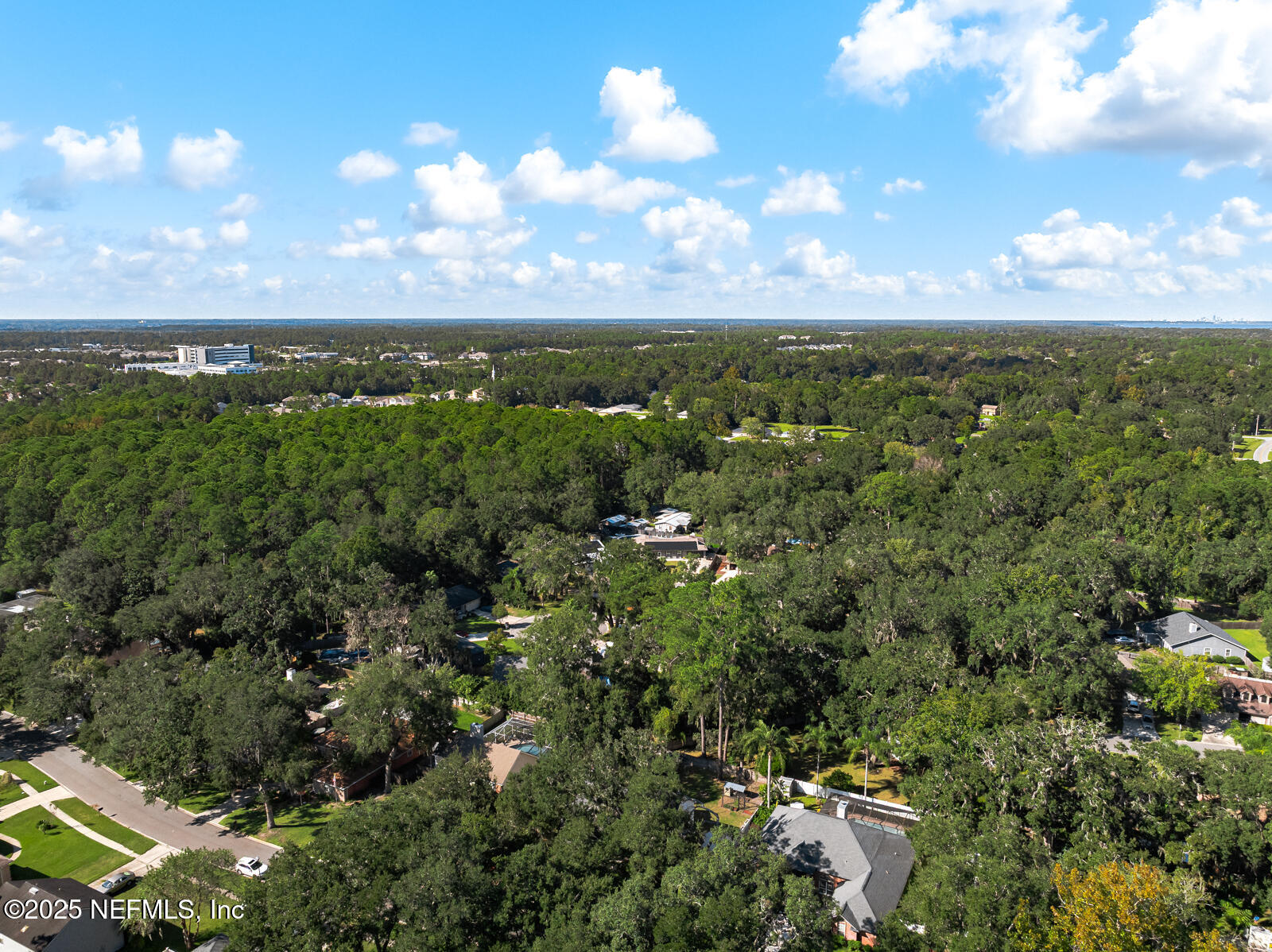 586 HIBERNIA OAKS Drive, Fleming Island