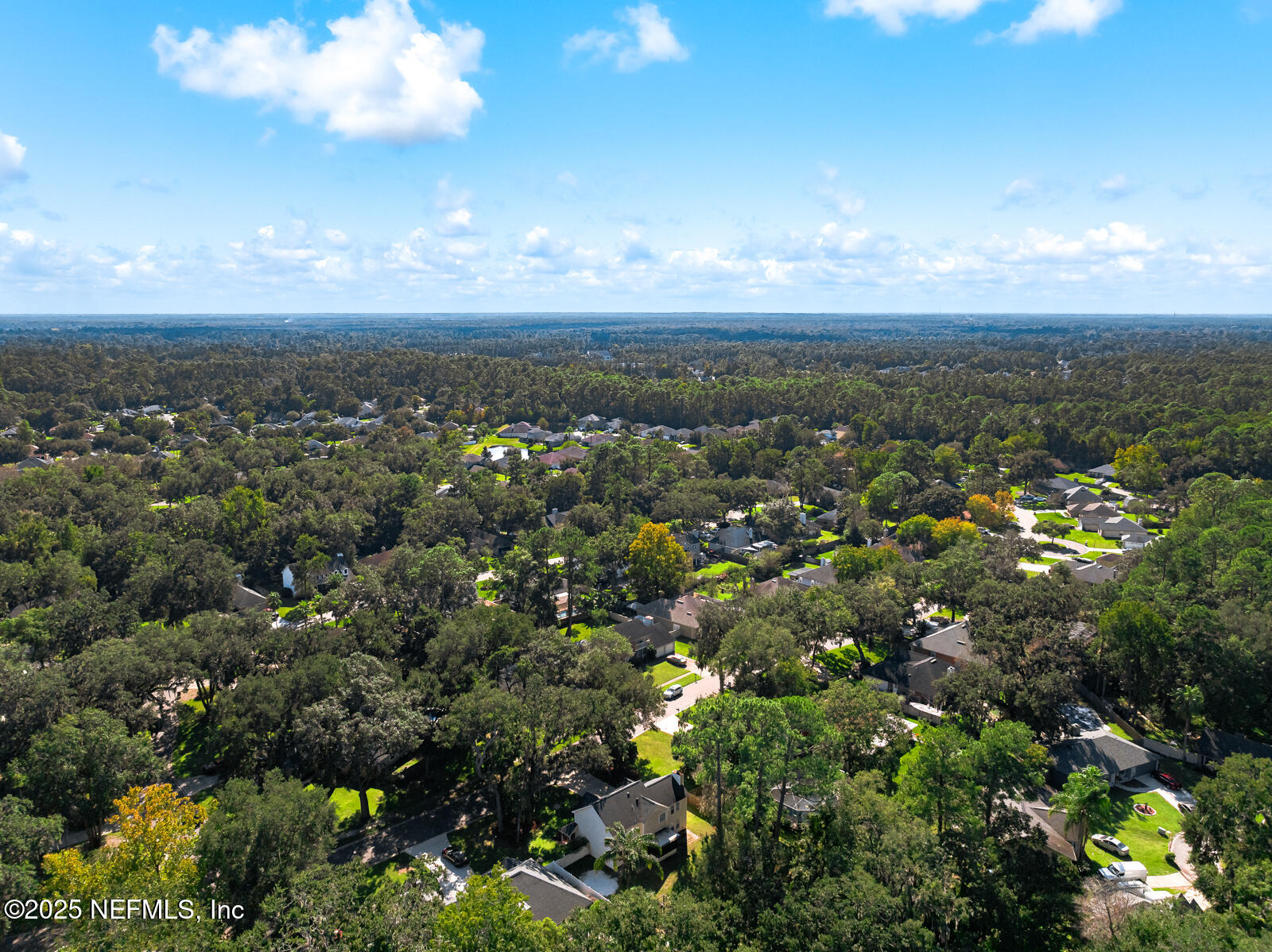 586 HIBERNIA OAKS Drive, Fleming Island