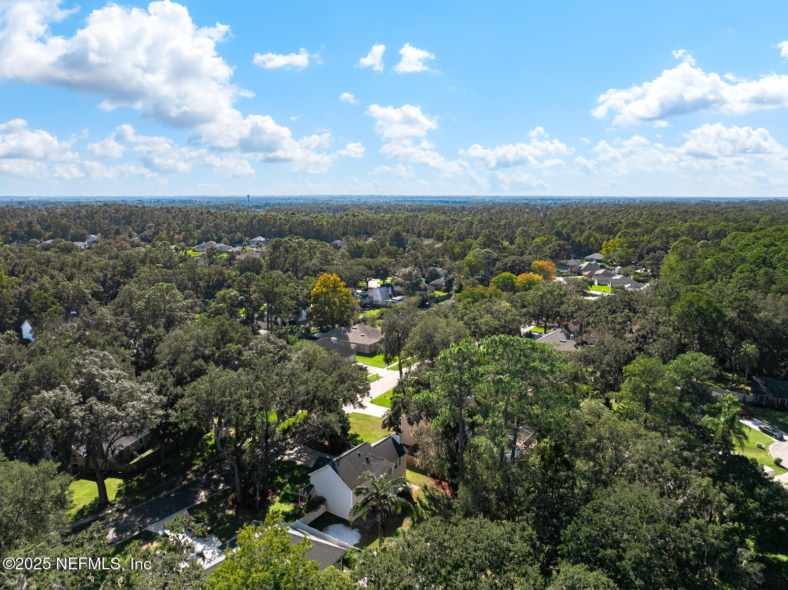 586 HIBERNIA OAKS Drive, Fleming Island