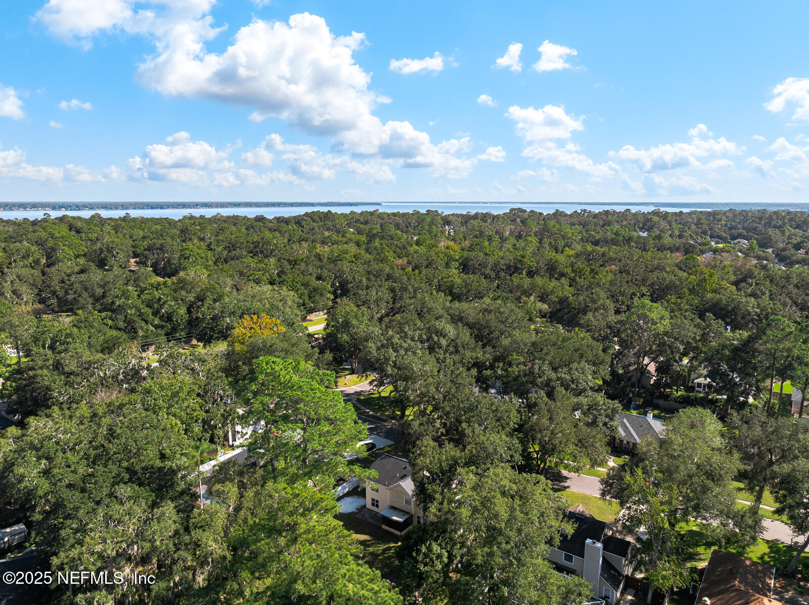 586 HIBERNIA OAKS Drive, Fleming Island