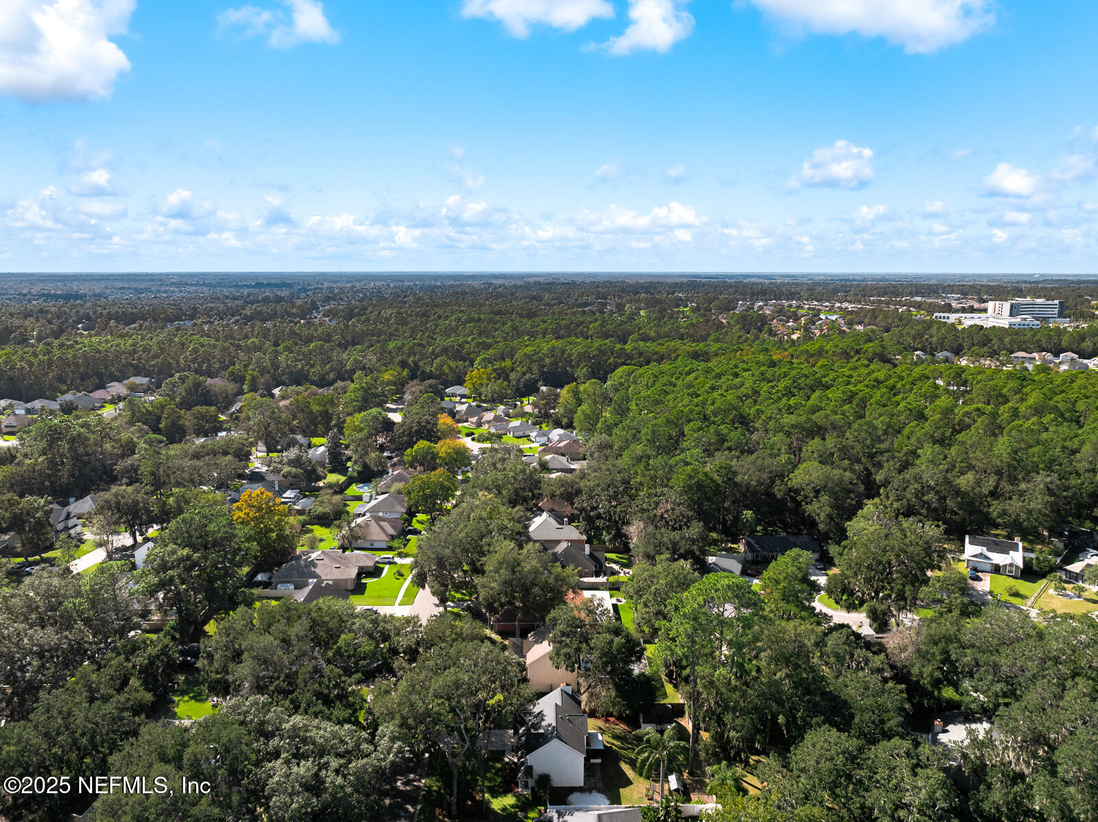 586 HIBERNIA OAKS Drive, Fleming Island