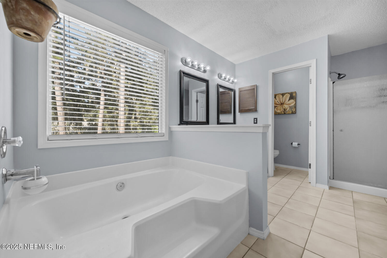 586 HIBERNIA OAKS Drive, Fleming Island