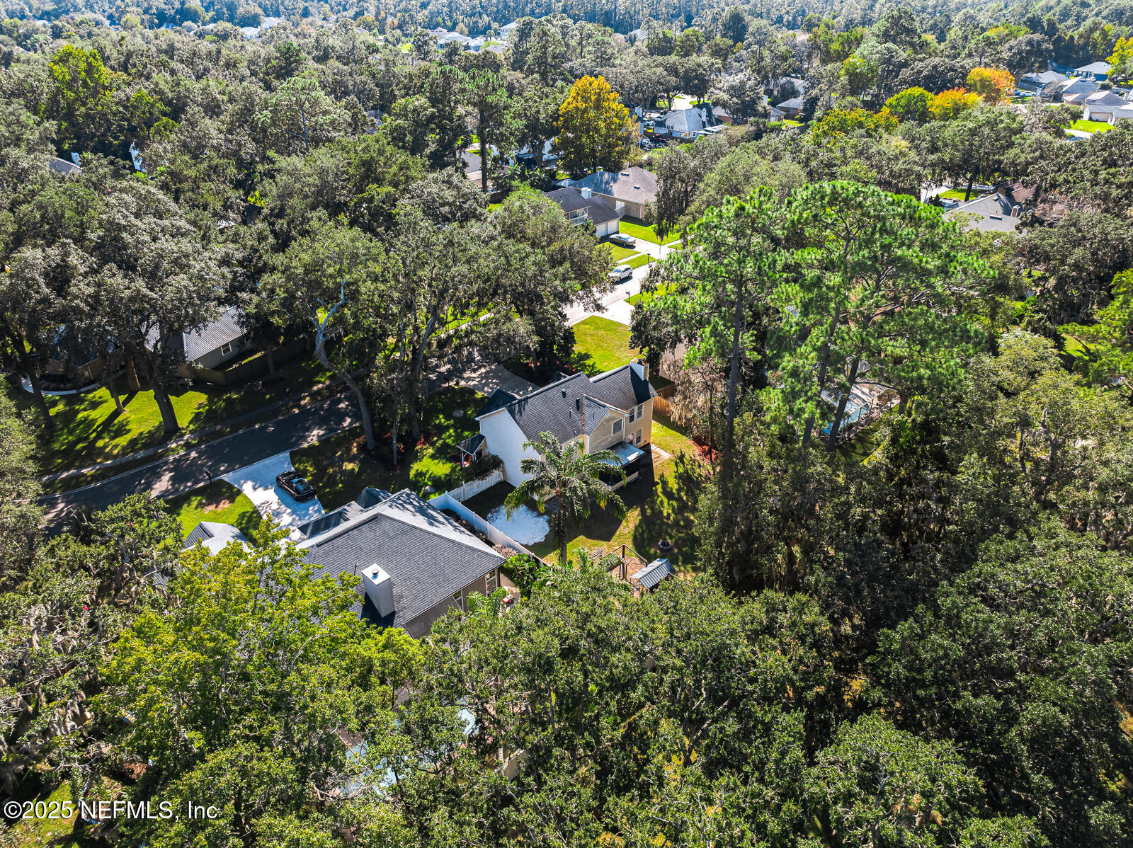 586 HIBERNIA OAKS Drive, Fleming Island