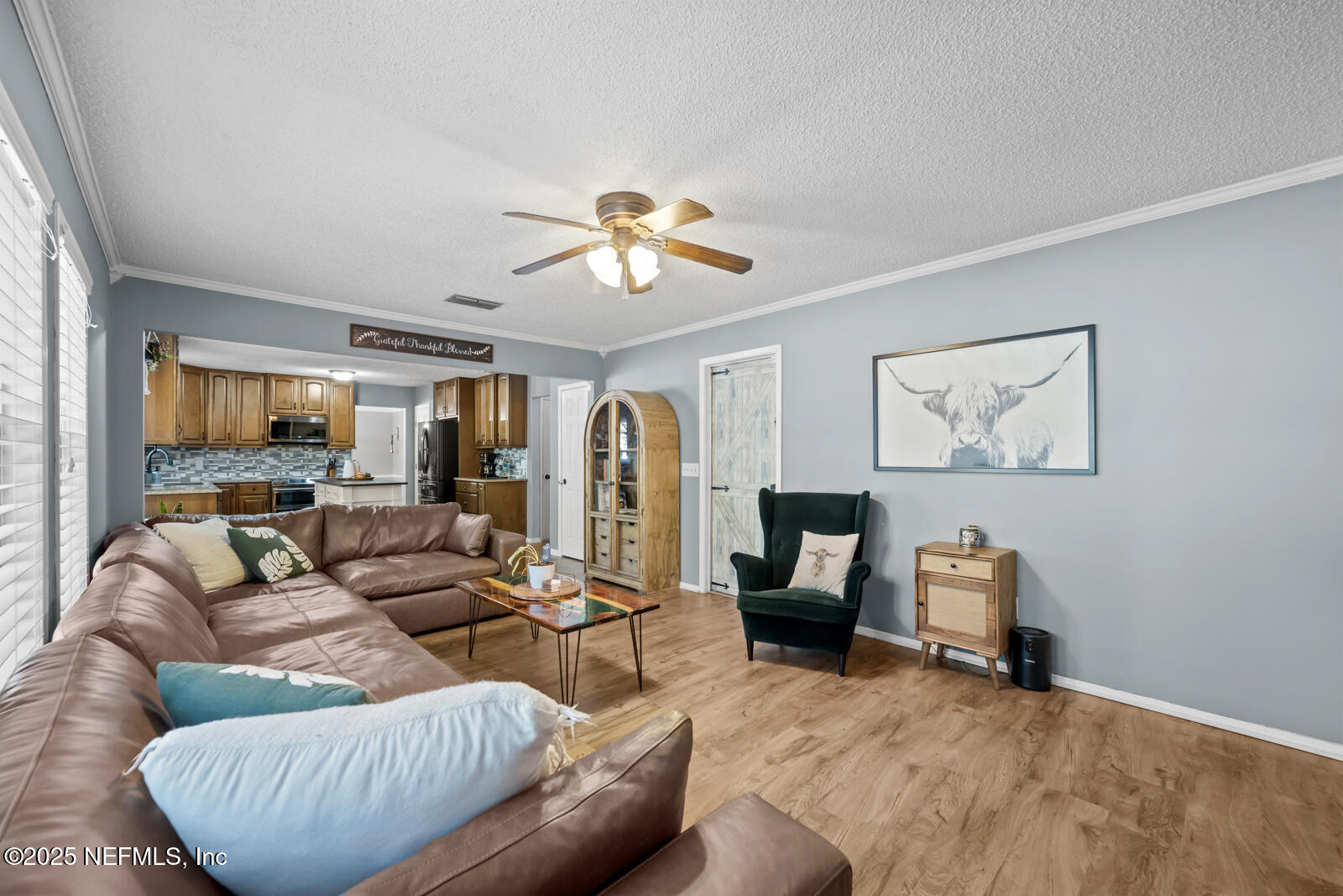 586 HIBERNIA OAKS Drive, Fleming Island