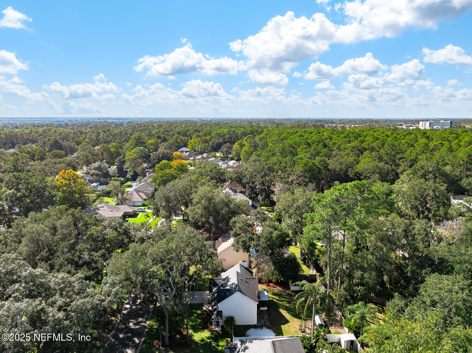 586 HIBERNIA OAKS Drive, Fleming Island